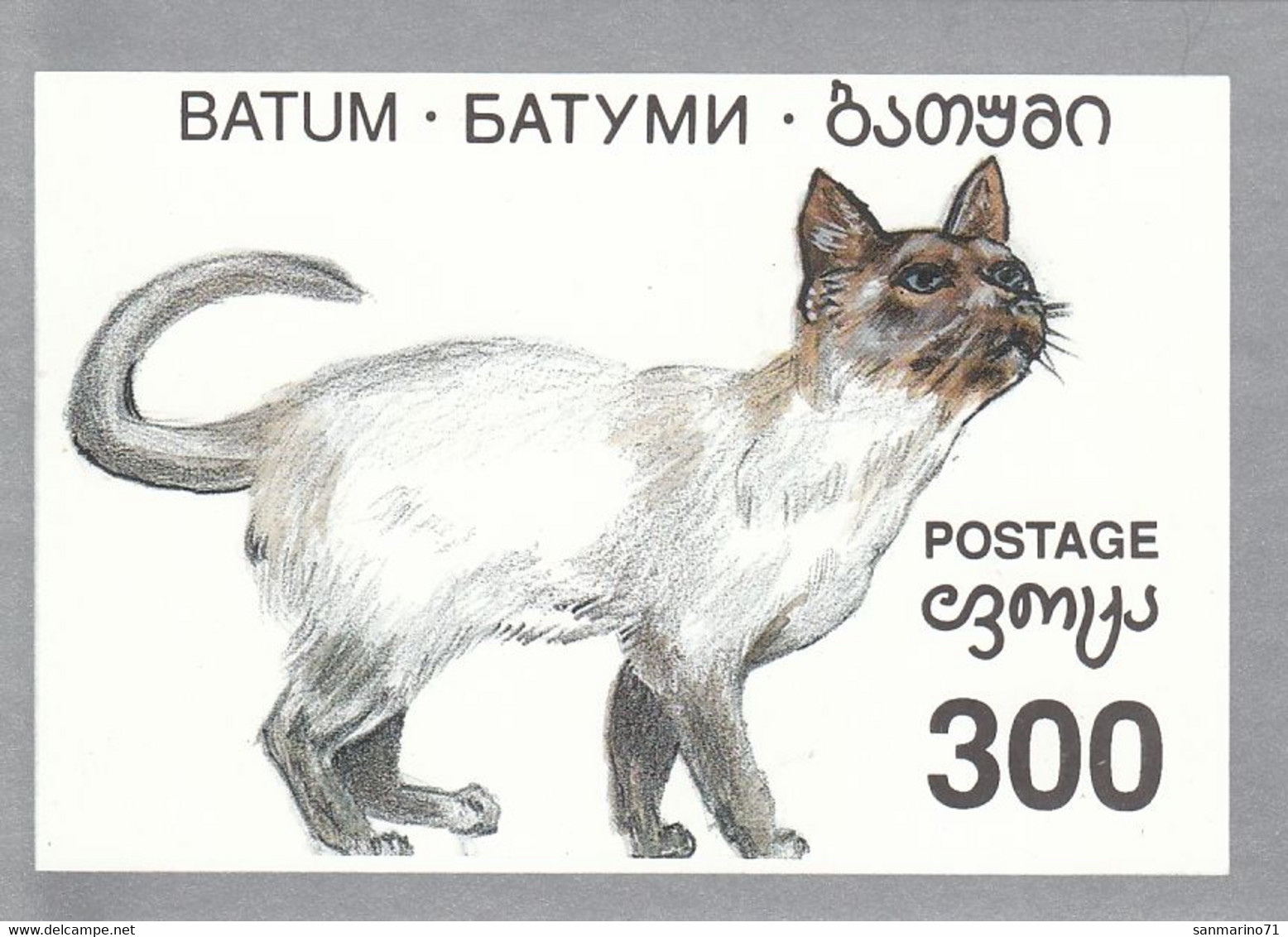 BATUM Cats 1,used - Domestic Cats