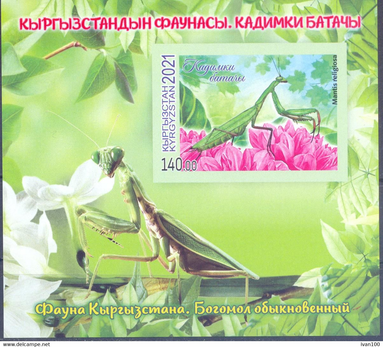 2021. Kyrgyzstan, Fauna Of Kyrgyzstan, Insects, S/s Imperf, Mint/** - Kyrgyzstan