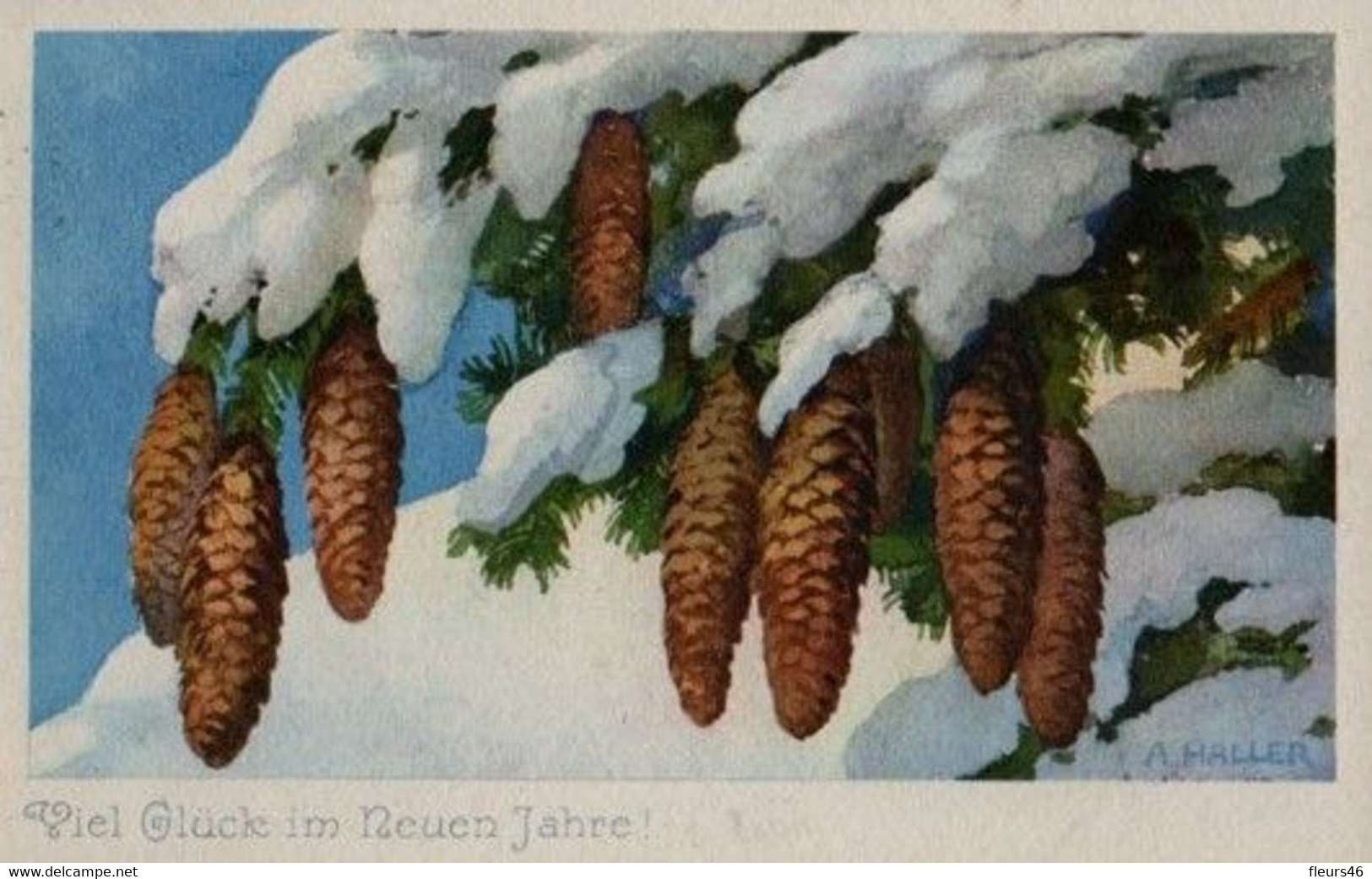 Belle Illustrée Signée Haller : Pommes De Pins Dans La Neige 2 - Haller, A.