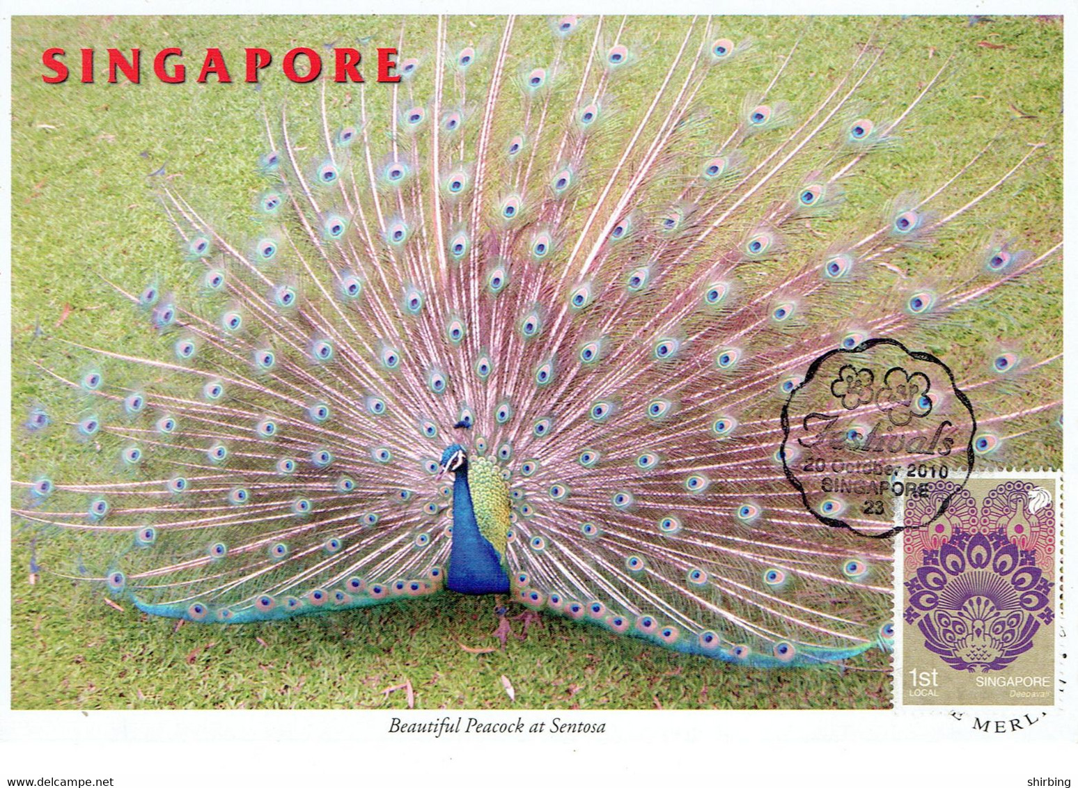 8A :  Carte Maximum Card Malaysia- Peacock, Symbol For Indian Festival - Pauwen