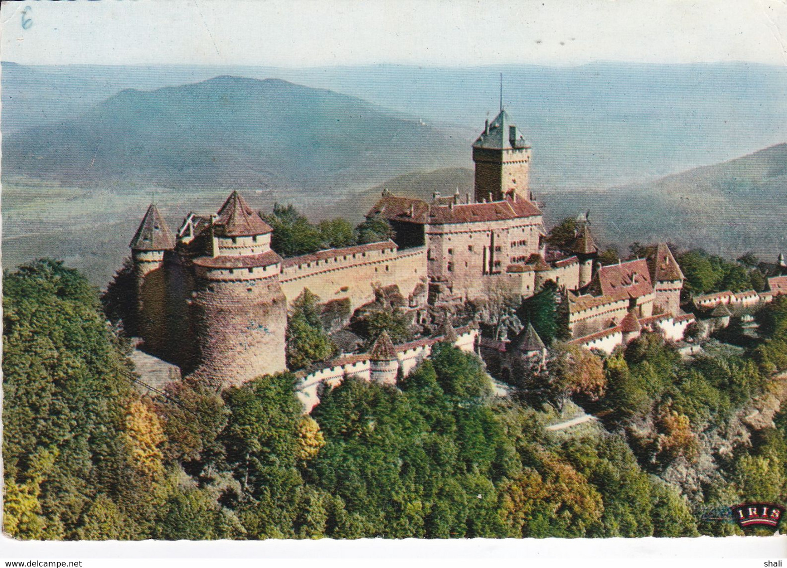 CPSM LE CHATEAU DU HAUT KOENIGSBOURG - Autres & Non Classés