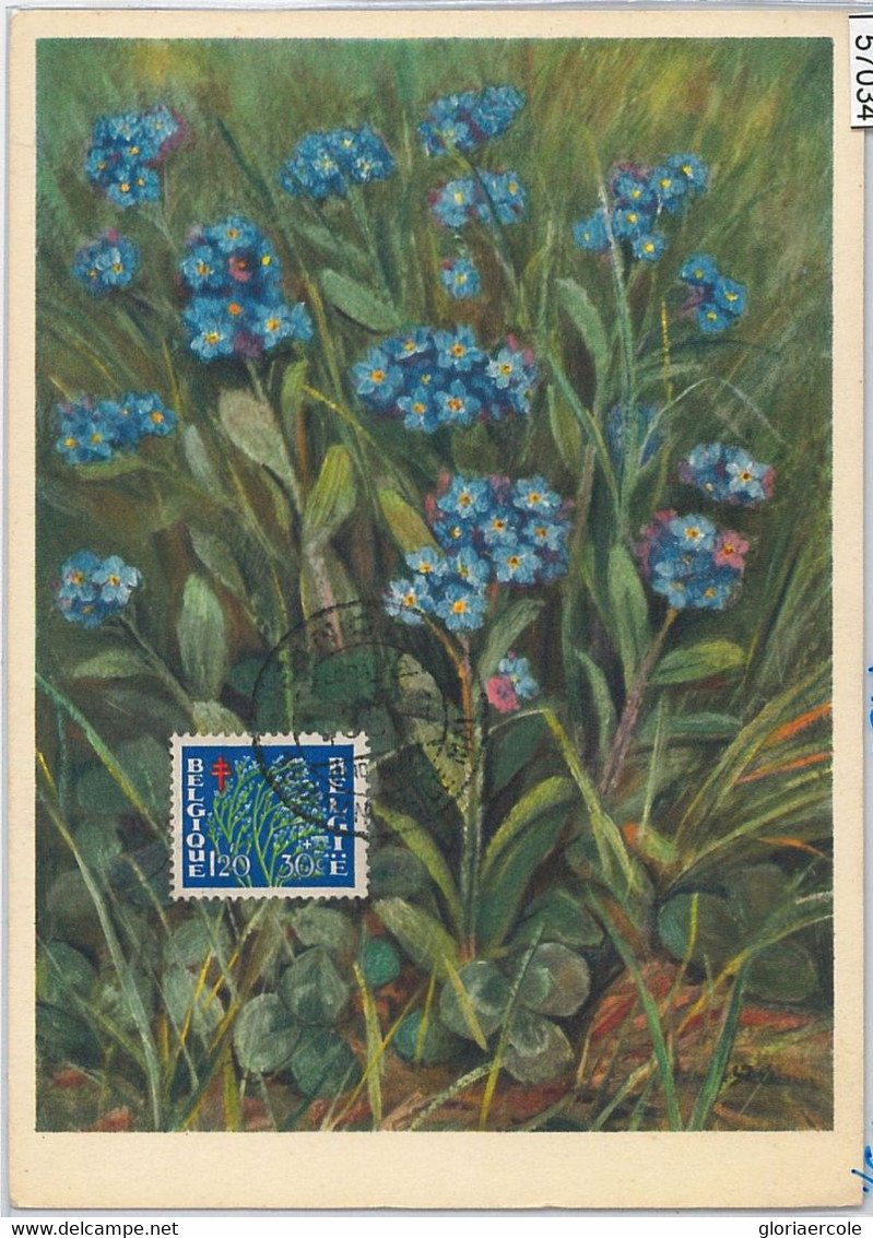 57034 - BELGIUM - POSTAL HISTORY: MAXIMUM CARD 1951 - FLOWERS - 1934-1951