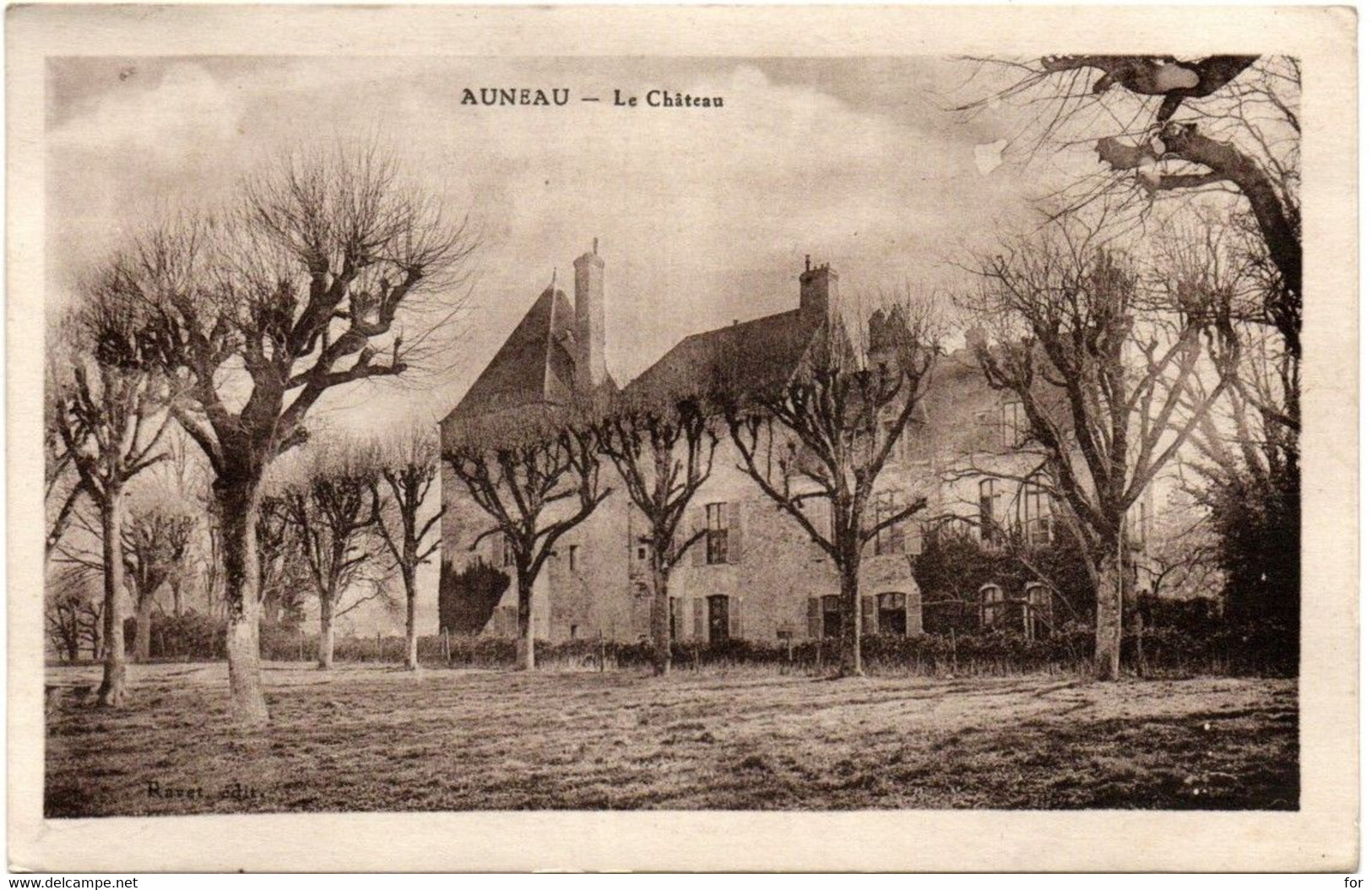 Eure Et Loir : AUNEAU : Le Château : Platanes Taillés - Auneau