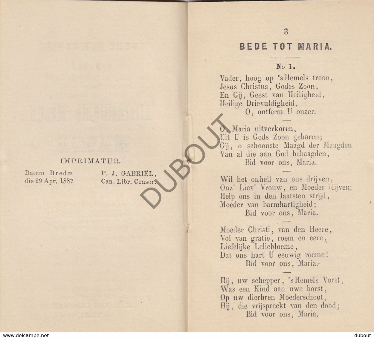 ROZENDAAL - Gezangen Ter Eere Der Allerheiligste Maagd Maria - M.D. Van Leeuwen , 1899 (W4) - Anciens