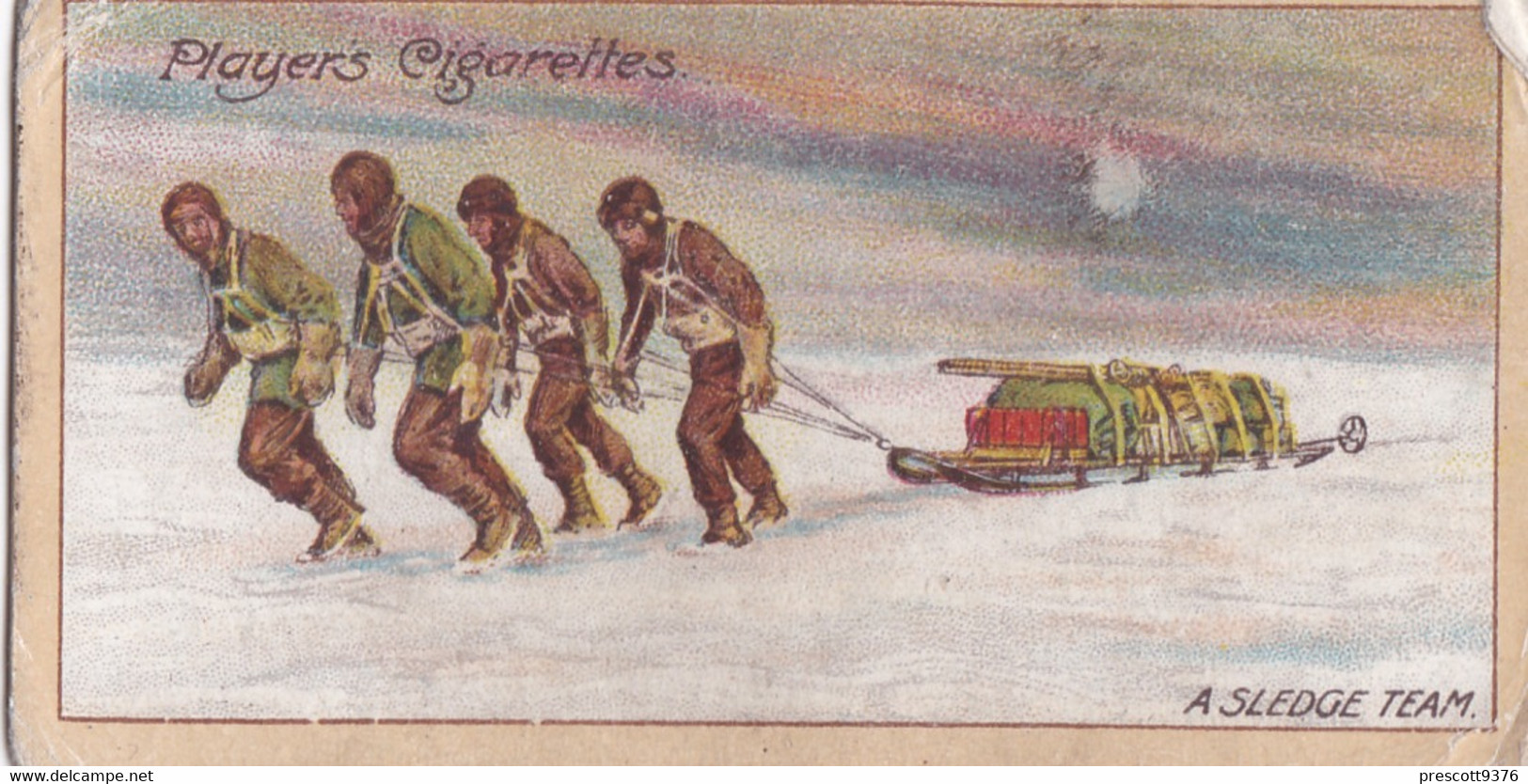 14 Sledge Team, King Edward VII Plateau -  Polar Exploration 2nd 1916 - Players Cigarette Card - Antique - - Wills