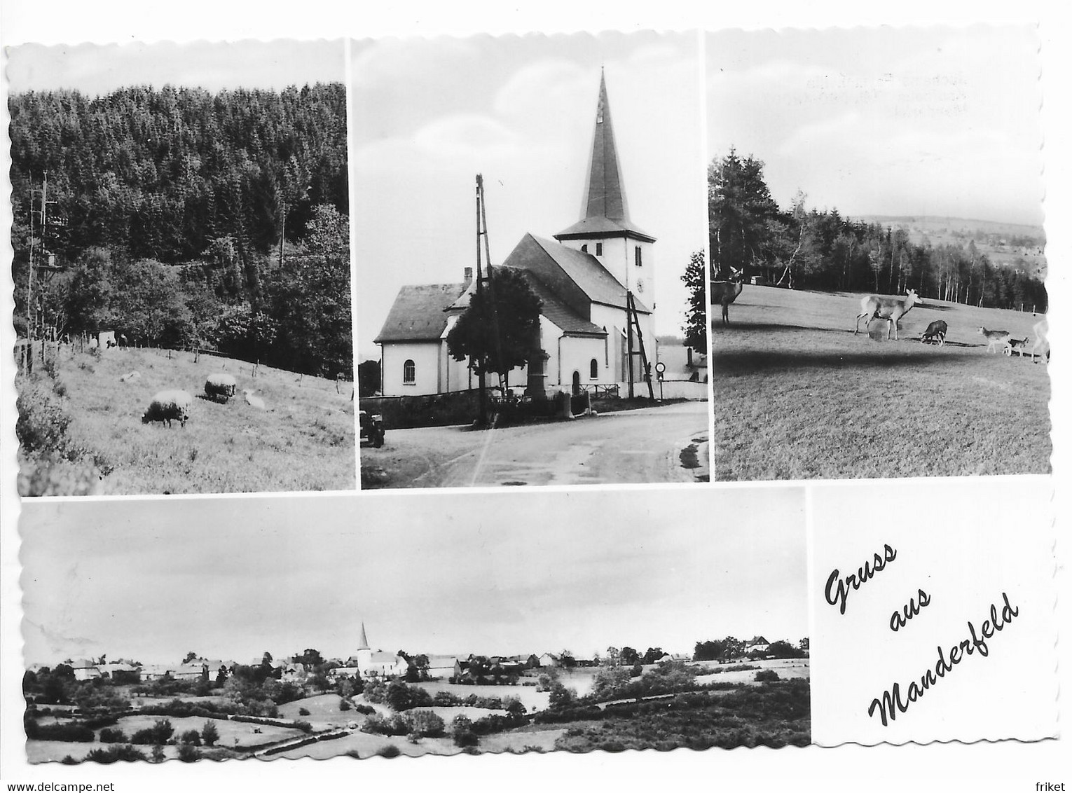 - 2110 -    MANDERFELD  (Bullange)  Gruss  Aus  (grand Format) - Bullange - Buellingen