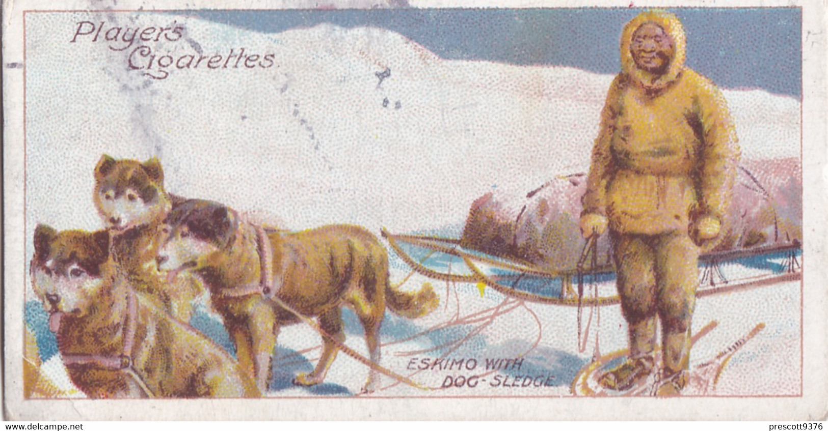 6 Eskimo With Dog Sled -  Polar Exploration 1915 - Players Cigarette Card - Arctic - Antique - Wills