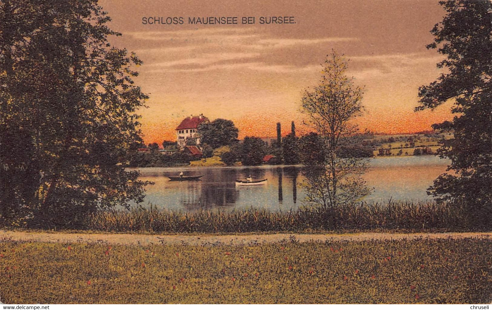 Sursee Schloss Mauensee Color - Sursee