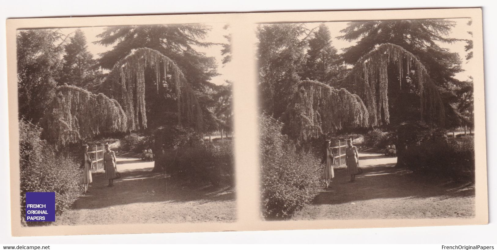 Parc De Vichy / 03 Allier Photo Stéréoscopique 1940s 12,8x5,8cm Jardin Public Au Bord De L'Allier A59-44 - Stereoscopio