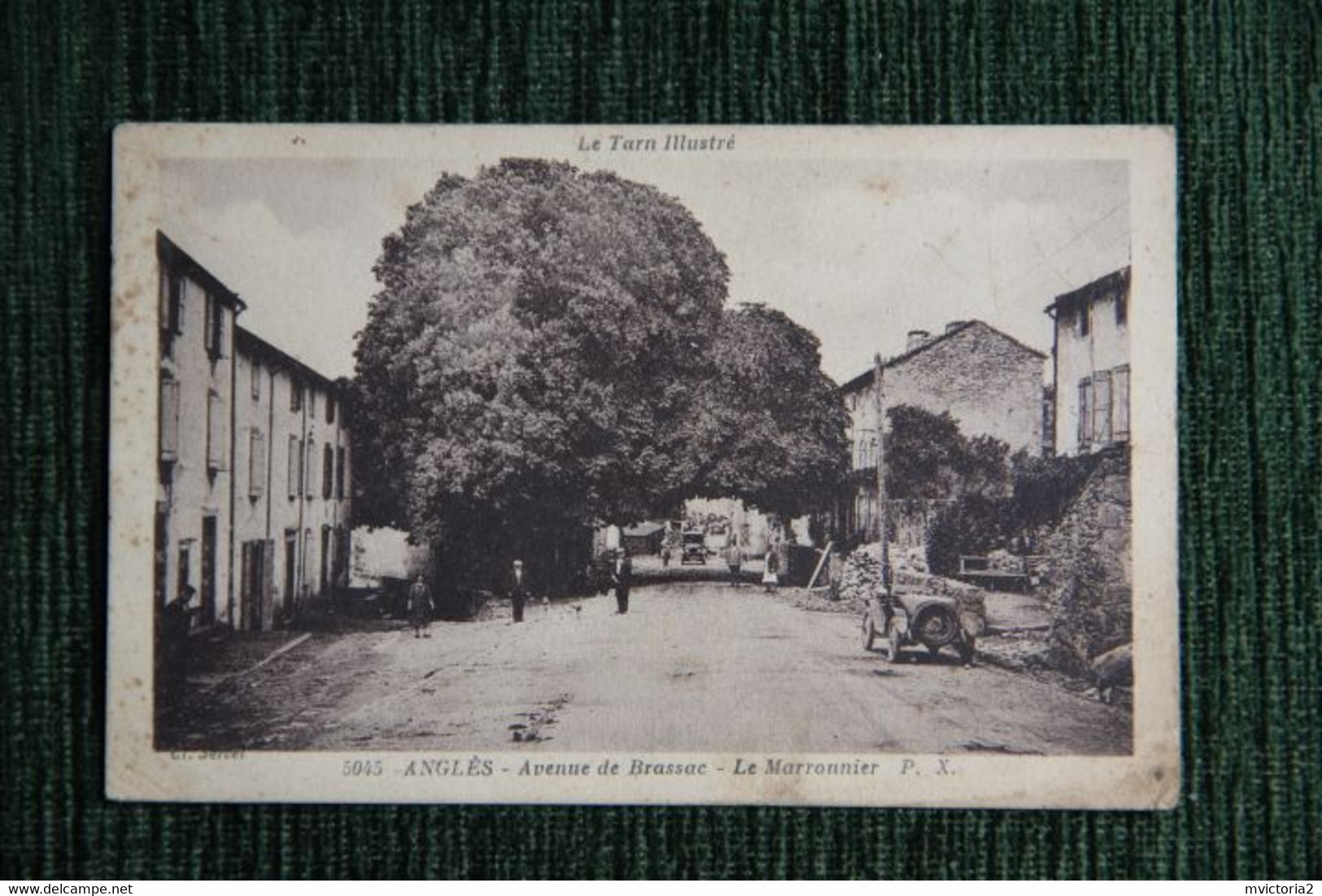 ANGLES - Avenue De BRASSAC, Le Marronnier - Angles