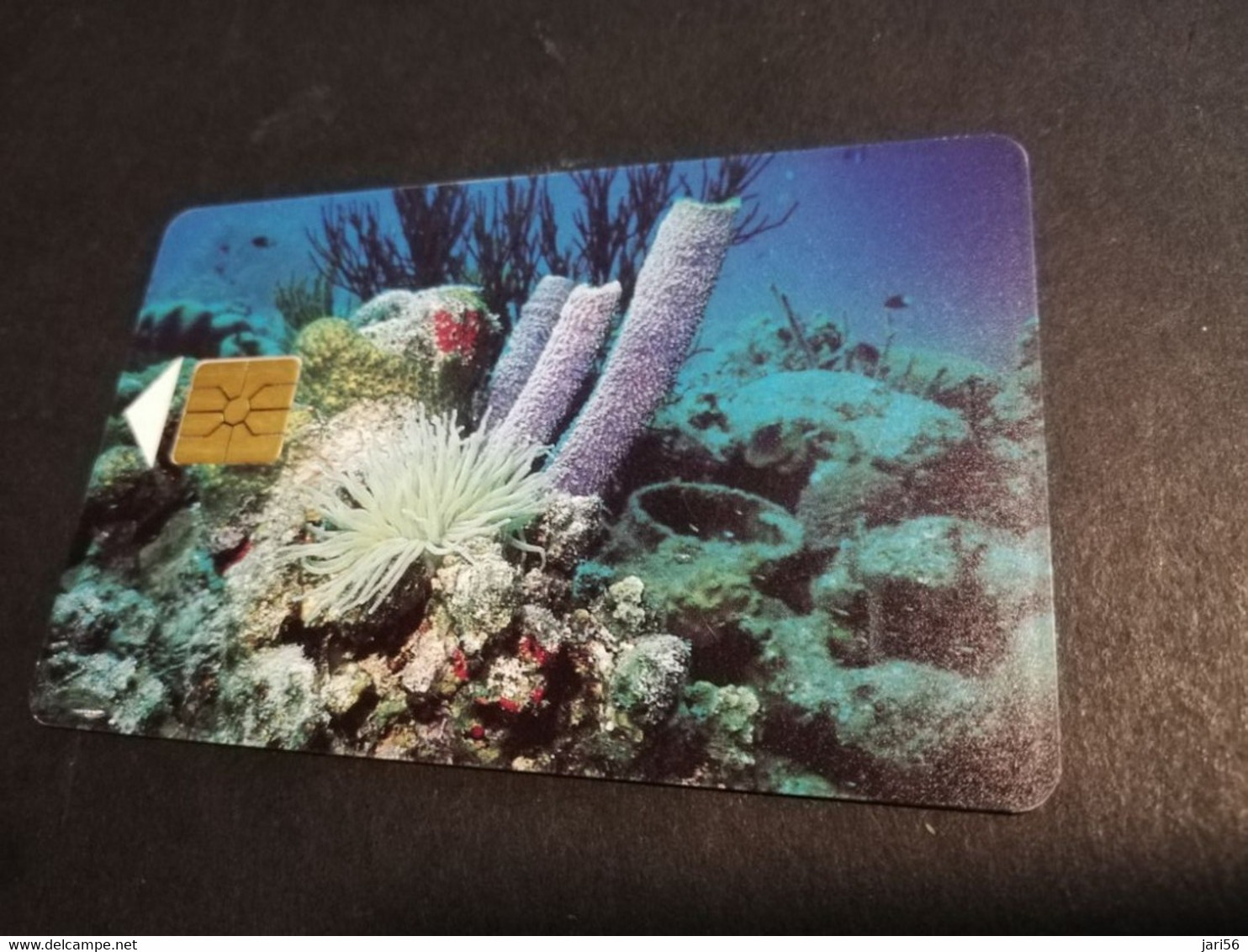 BONAIRE  CHIPCARD Naf 15,00 60units  CORAL REEFS   **6169** - Antillen (Niederländische)