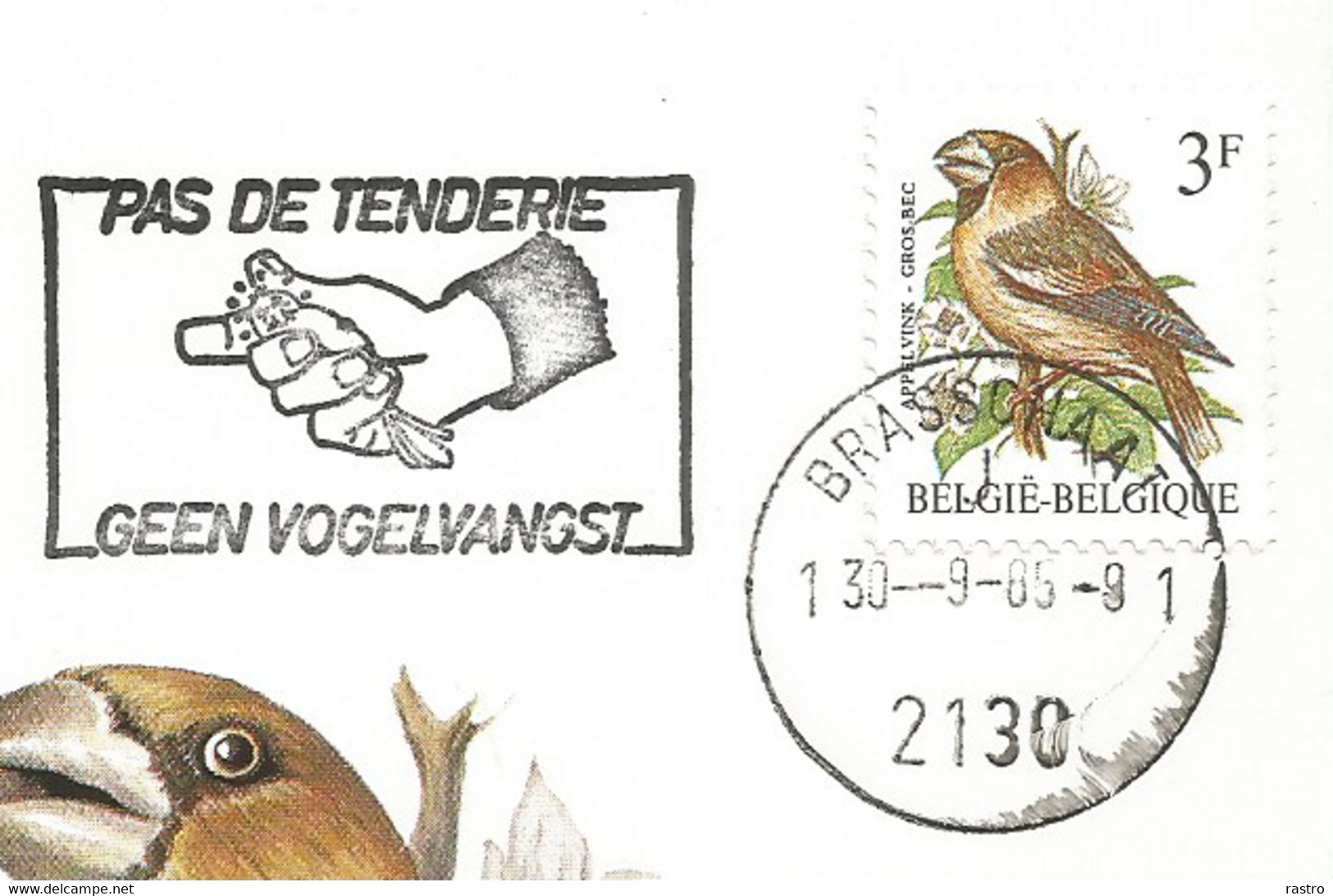 Belgique N° 2189-90  (André Buzin , Gros-Bec + Chardonneret) Sur 2  CM FDC Dont Une Avec Flamme Contre La Tenderie - Pájaros Cantores (Passeri)