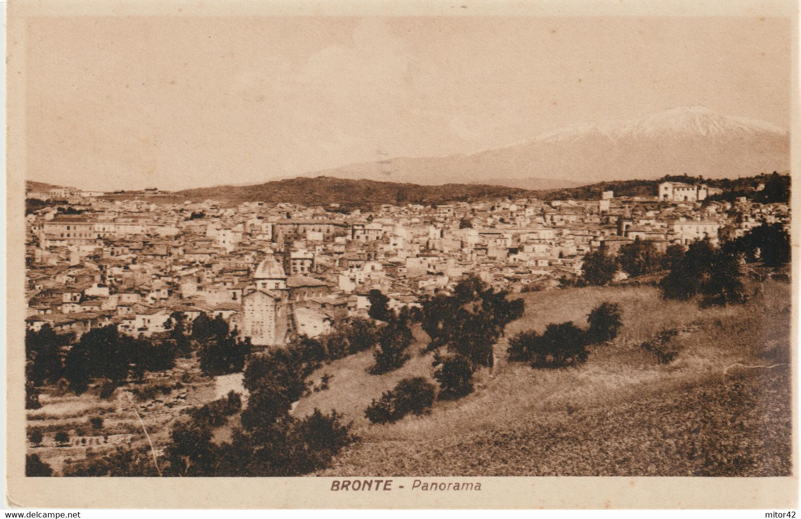 294-Bronte-Catania-Sicilia-Panorama-Ed.Pezzini+Real Collegio Capizzi - Catania