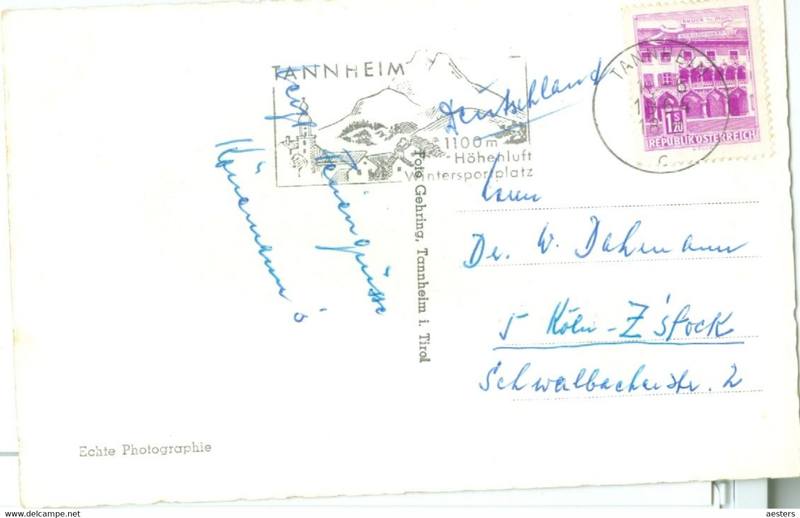 Tannheim I. Tirol 1964; Neunerköpfle - Gelaufen. (Gehring - Tannheim - Tannheim