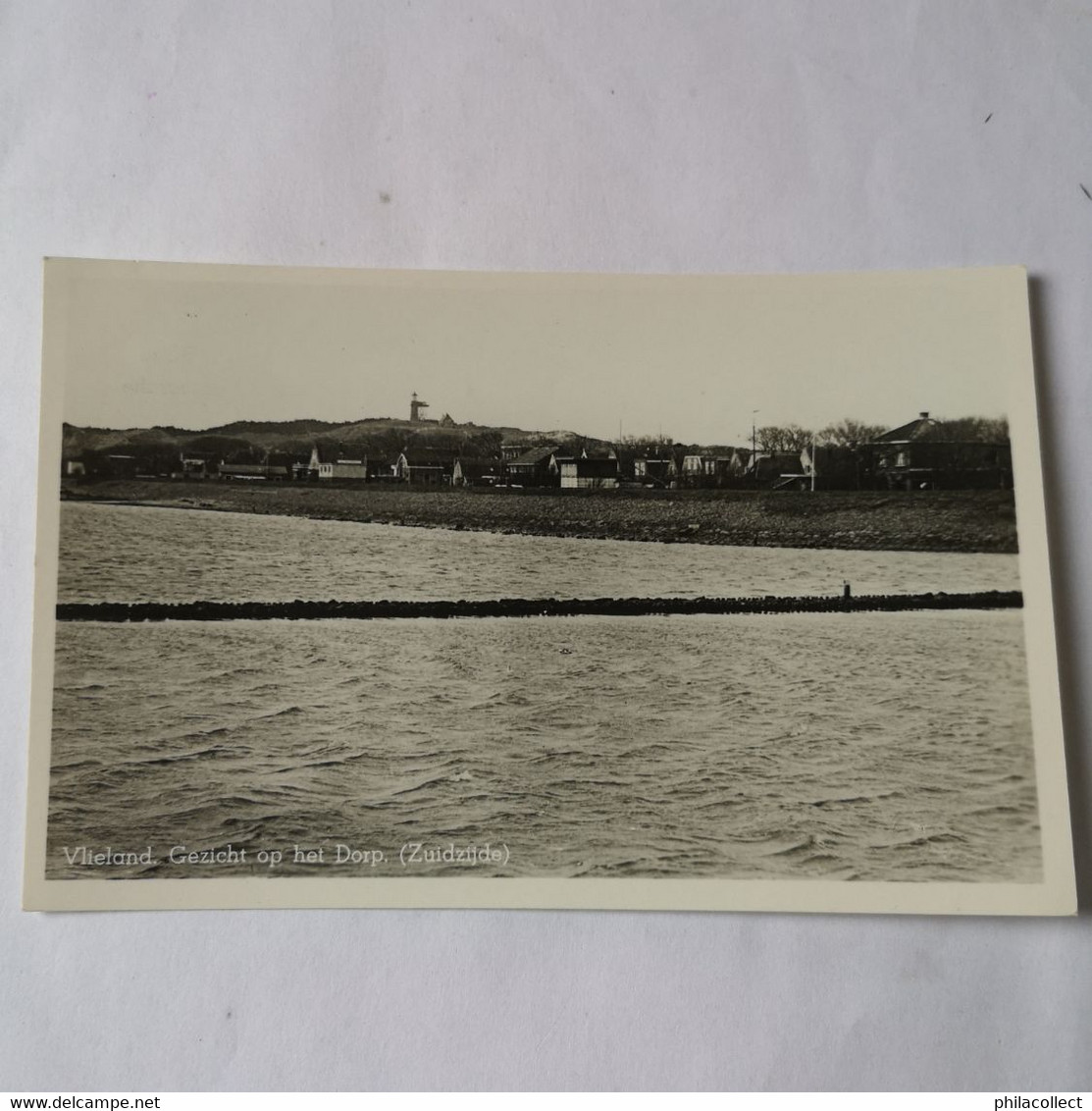 Vlieland // Echte Foto // Gezicht Op Het Dorp (Zuidzijde) Ca 1947 - Vlieland