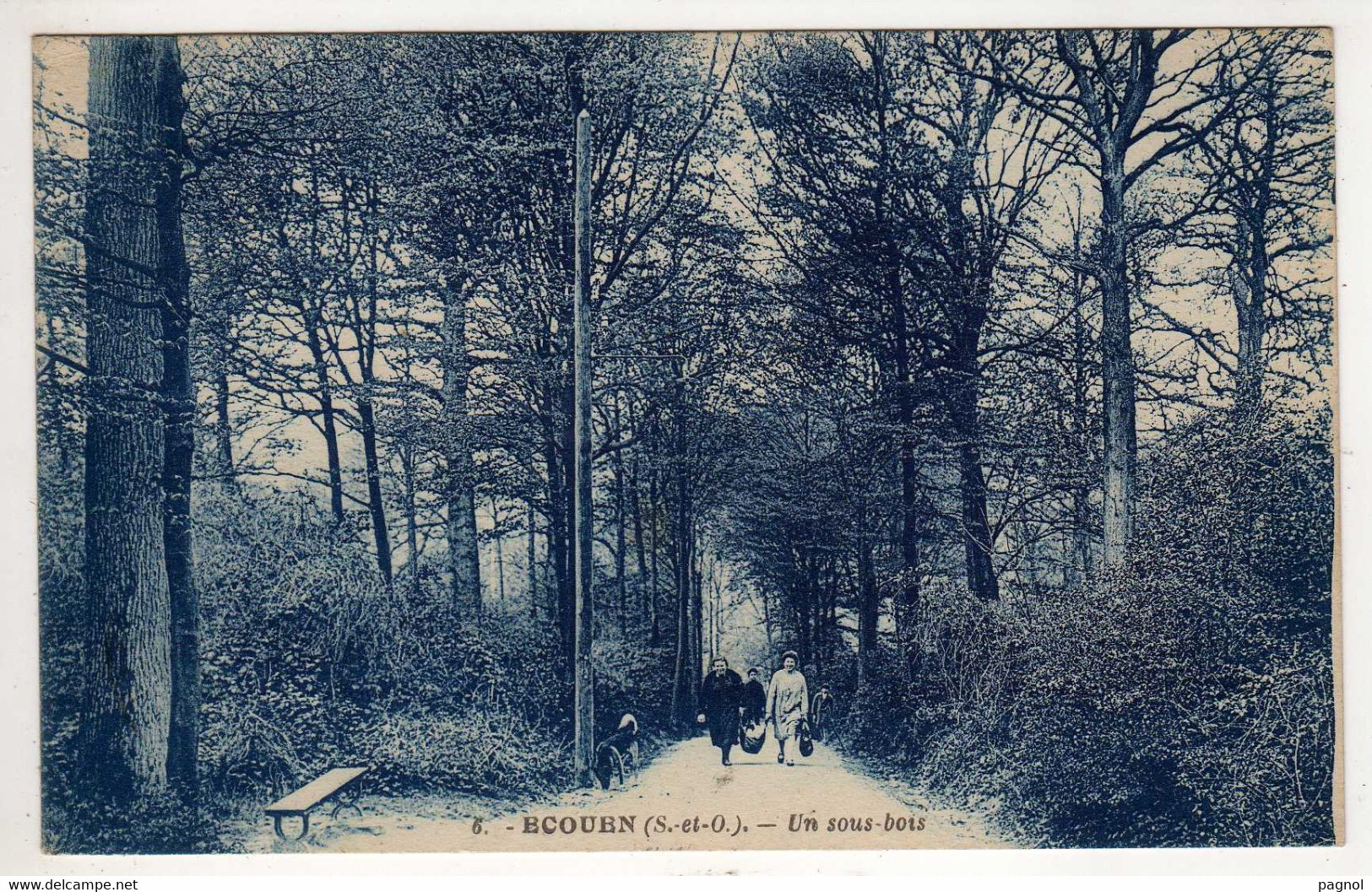 95 : Ecouen : Un Sous Bois - Ecouen