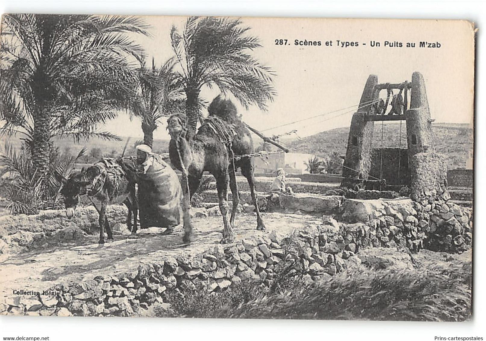 Lot De 110 Cpa Afrique Du Nord - Algérie - Maroc - Alger - Constantine - Bone Etc... - 100 - 499 Postcards