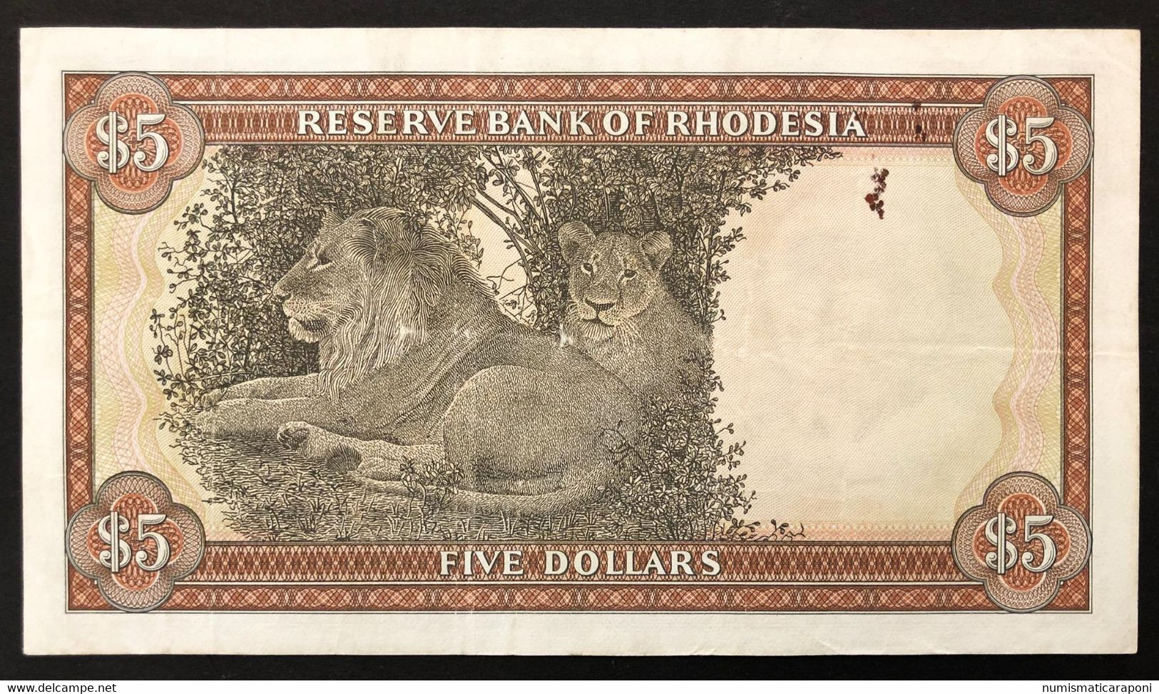 RHODESIA RODESIA 5 DOLLARI 1972 Pick#32a Lion Leone Lotto 3520 - Rhodesia