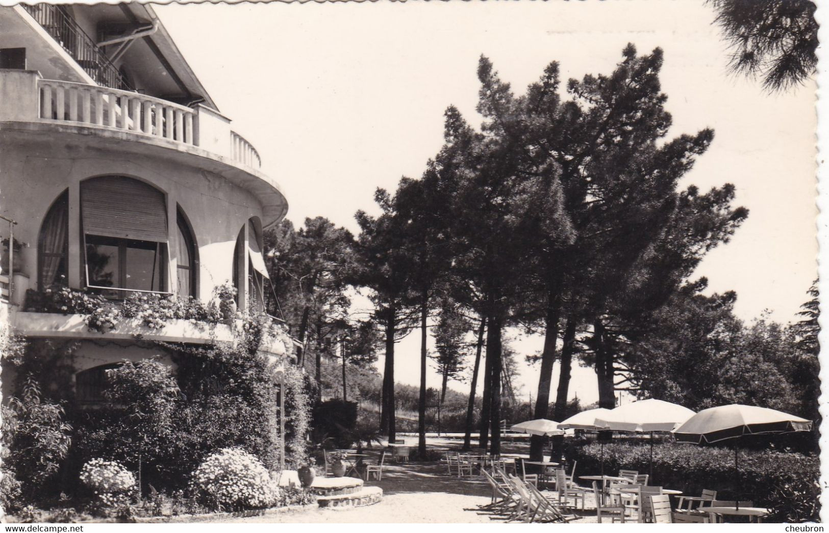 83. SAINTE MAXIME.  HOTEL " BEAU SITE ". VUE EXTERIEURE. TERRASSE. ANNÉES 50 - Sainte-Maxime