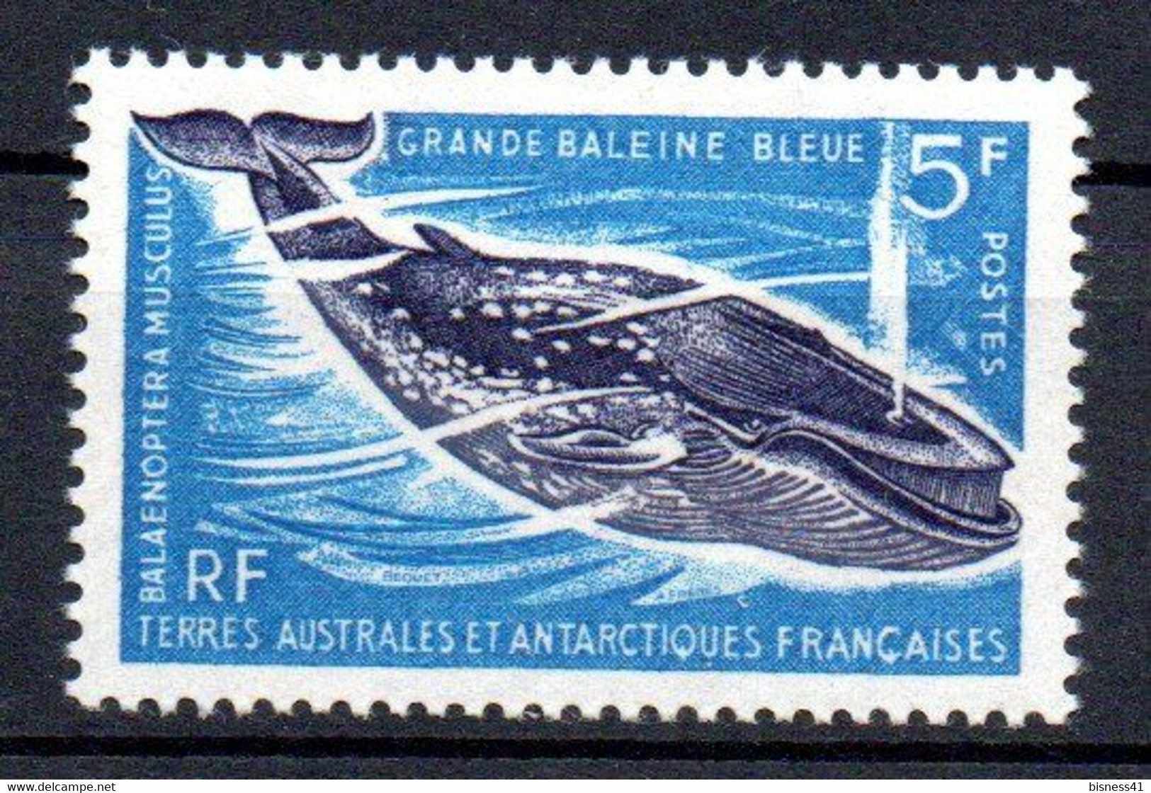 Col24 Taaf Terres Australes N° 22 Neuf XX MNH  Cote 31,00 Euro - Ongebruikt