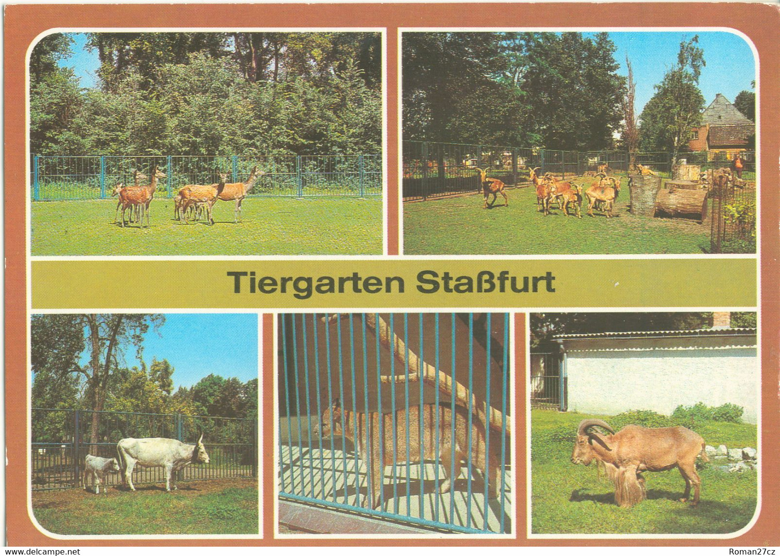 Tiergarten Stassfurt, DE - Deer, Barbary Sheep, Cattle, Cougar - Stassfurt