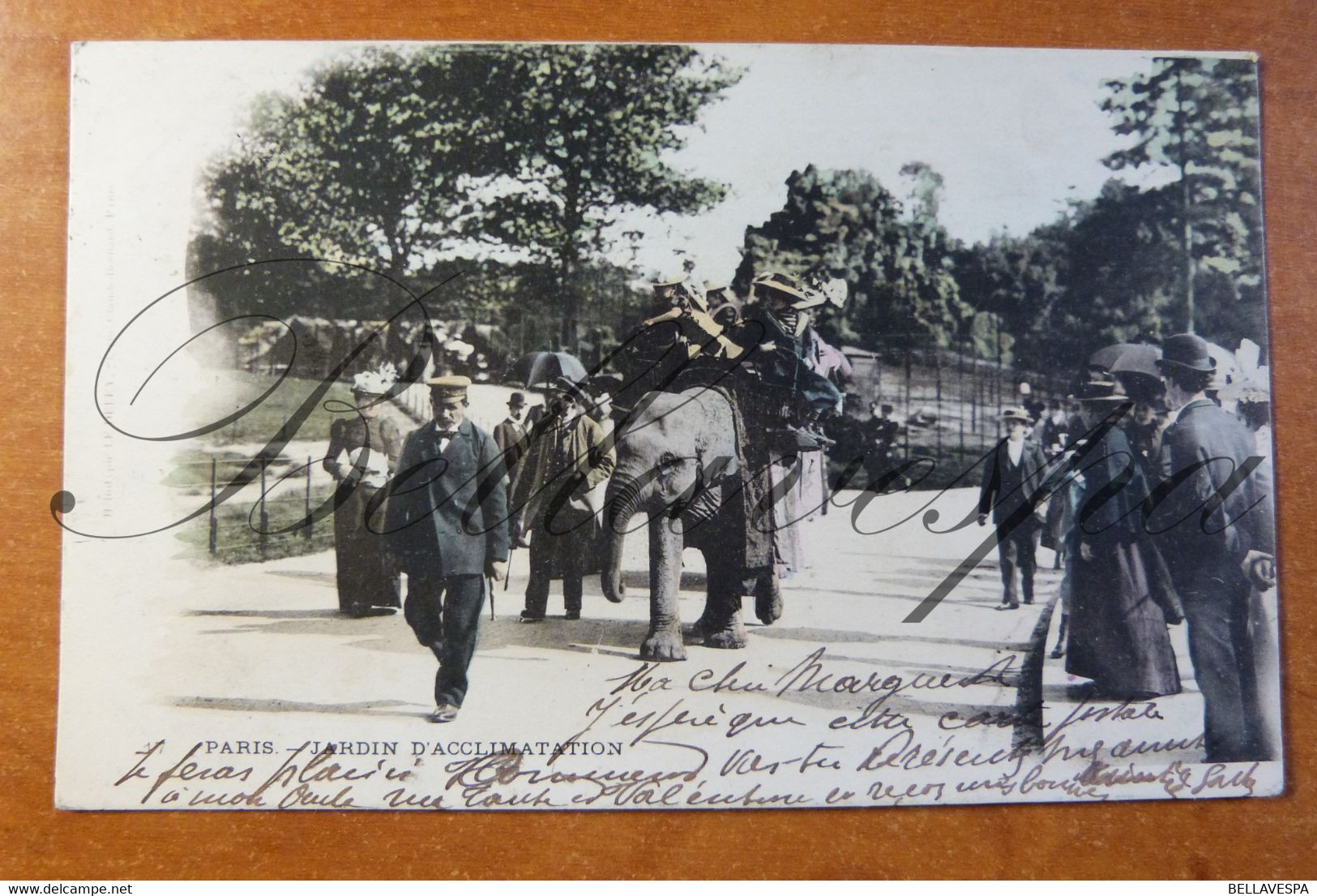 Paris D75 Zoo - Jardin D'acclimatation * L'éléphant Et  Dompteur . Edit L.Deley Paris Voyage 1900 ! - Circus