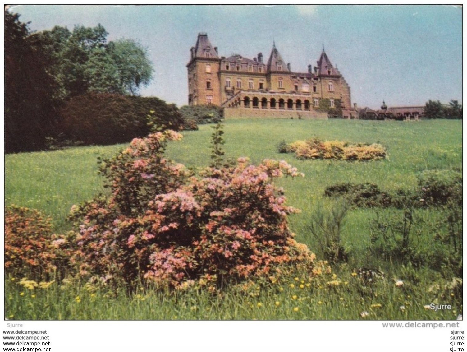 RONCHINNE / Assesse - Château Centre De Vacances - Vakantiecentrum - Kasteel - Assesse