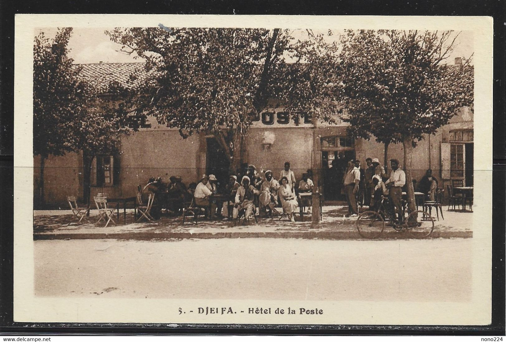Carte P De 1957 ( Djeifa / Hôtel De La Poste ) - Djelfa