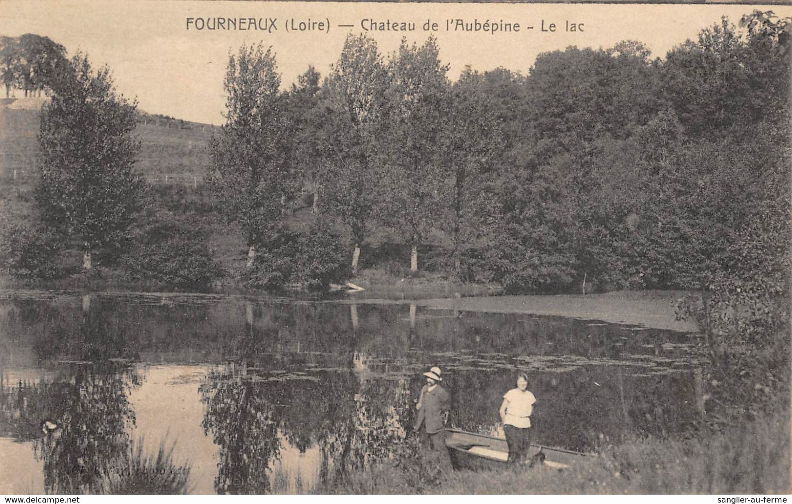 CPA 42 FOURNEAUX CHATEAU DE L'AUBEPINE LE LAC (cliché Rare - Sonstige & Ohne Zuordnung