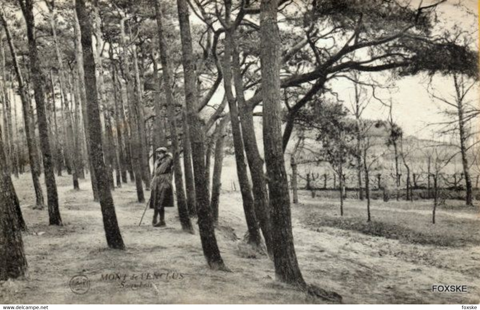 * 21.100 - Kluisbergen - Mont De L'Enclus - Sous Bois - Kluisbergen