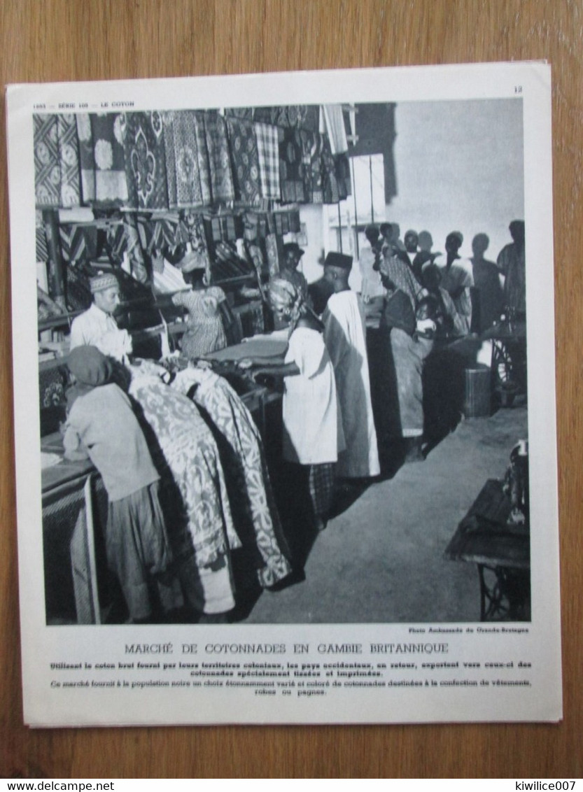 GAMBIE BRITANNIQUE    Le Marché Au Coton   De Cotonnades    Photo   1952  Documentation Scolaire - Gambie