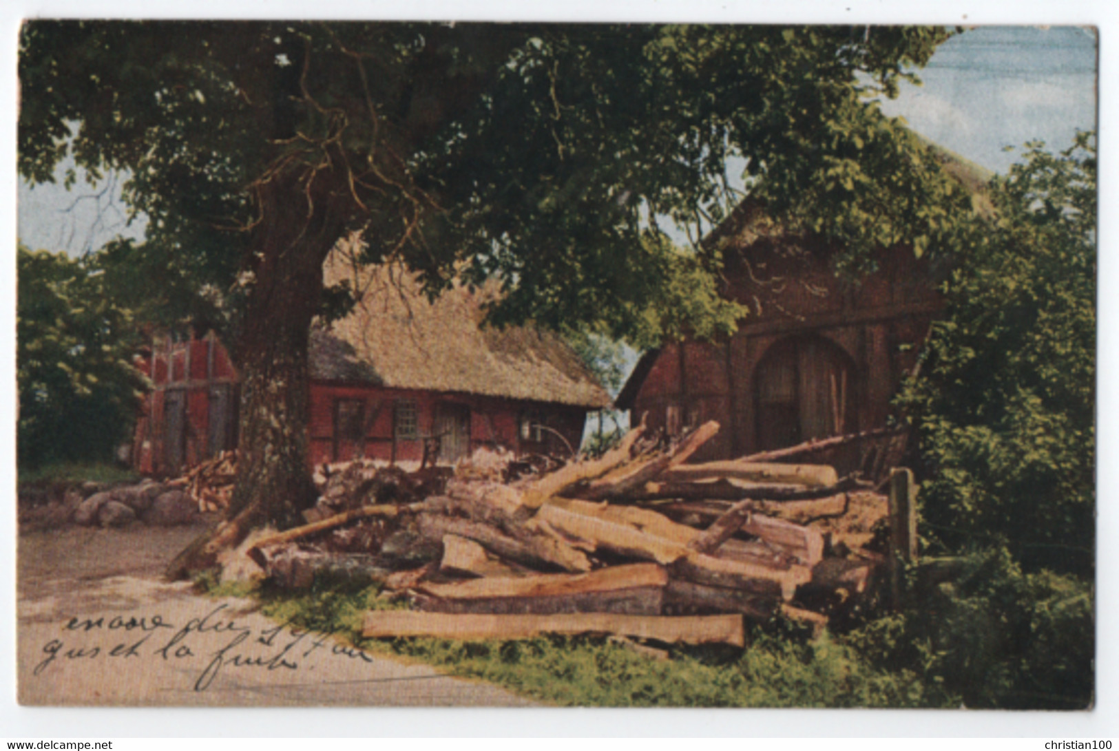 NEVIGES ( DISTRICT DE VELBERT ) : BERGISCHE LAND - SCERIE ? TRONS D' ARBRES - ECRITE EN 1923  -z 2 SCANS Z- - Velbert