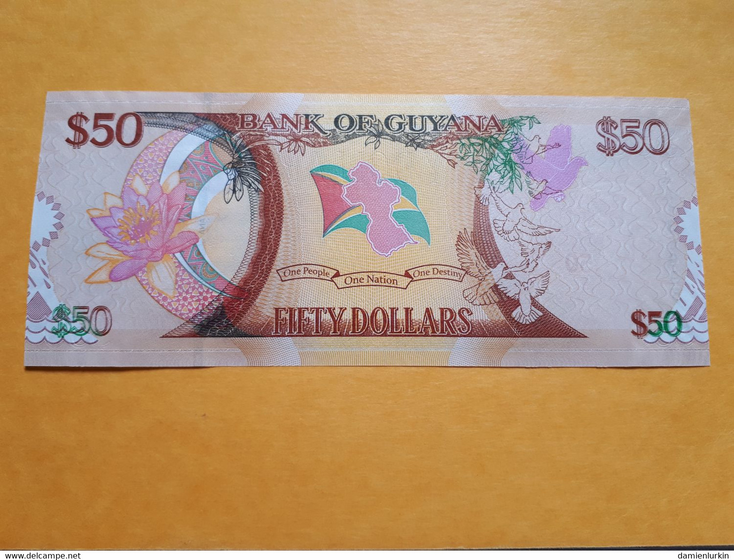 GUYANA 50 DOLLARS 2016 UNC P-41 - Guyana