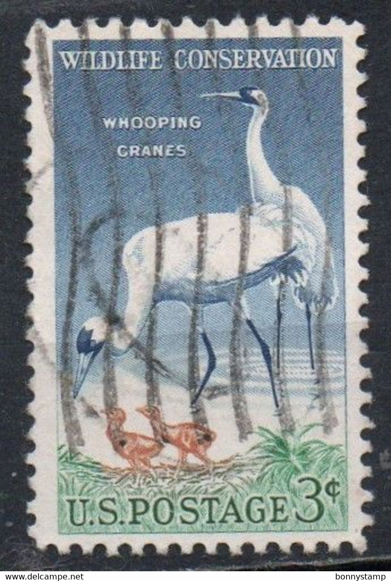 United States, 1957 - 3c Whooping Cranes - Nr.1098 Usato° - Used Stamps