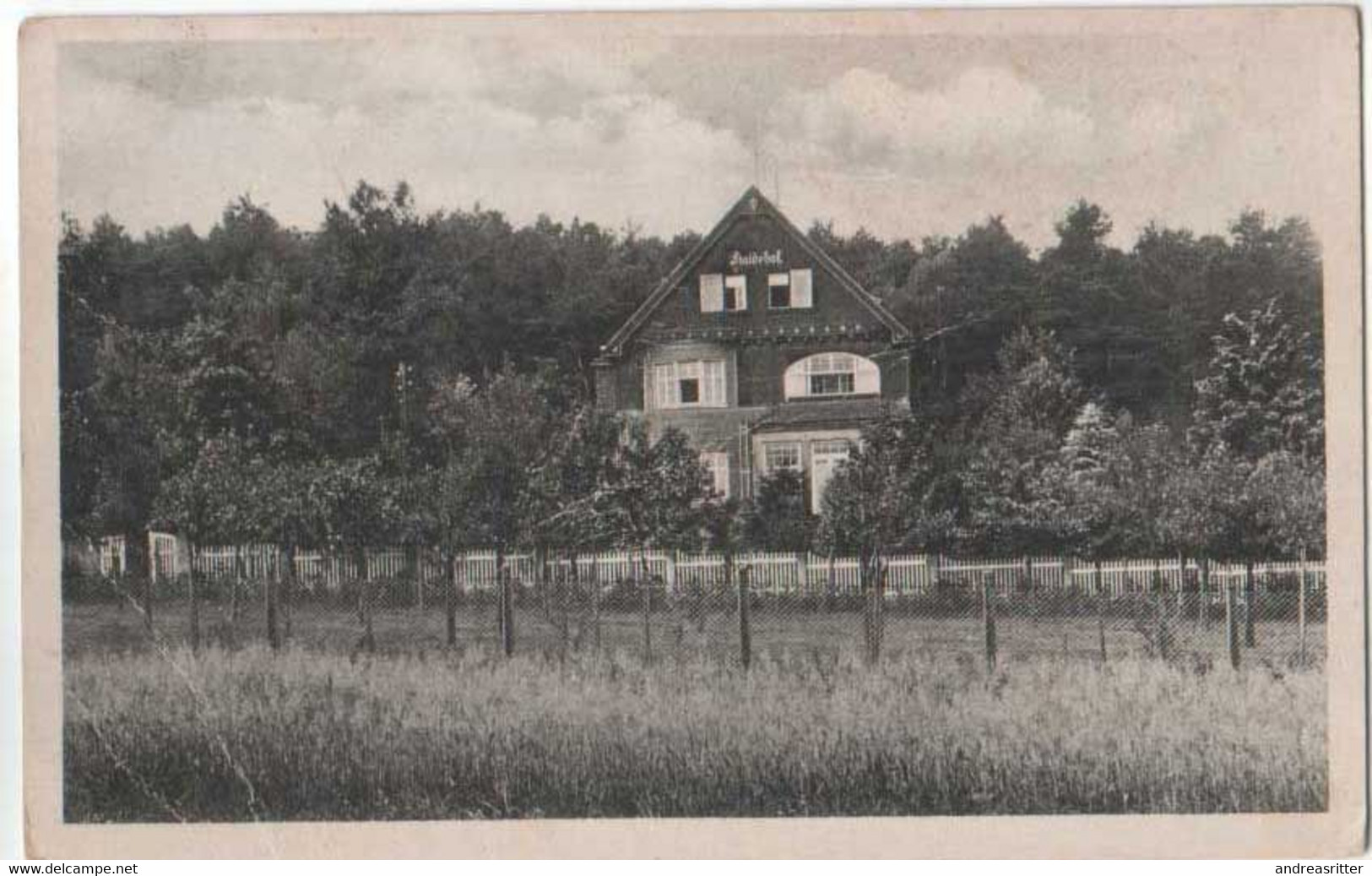 AK Gohrisch Haidehof Ca 1920 (Al03) - Gohrisch