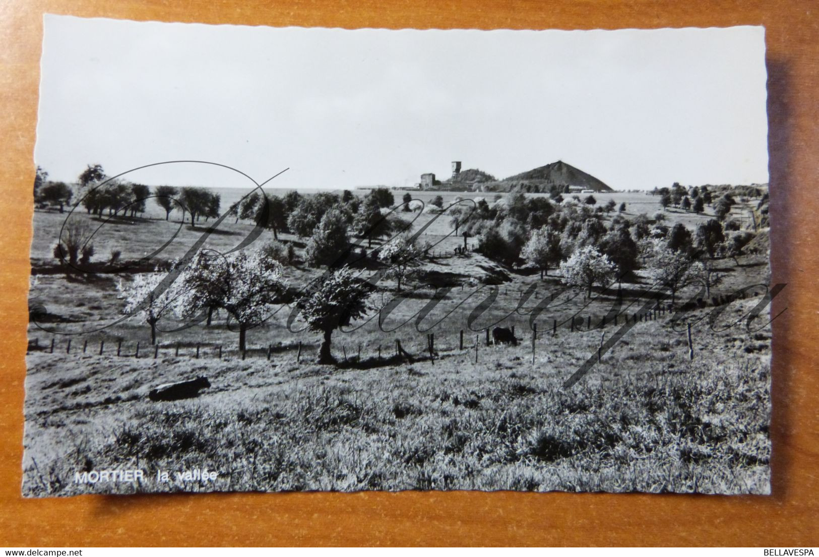 Mortier La Vallée . Blegny Trembleur Charbonnage Sites Mineurs Majeurs Ajourdui Musea Mining Koolmijn Terril - Blegny