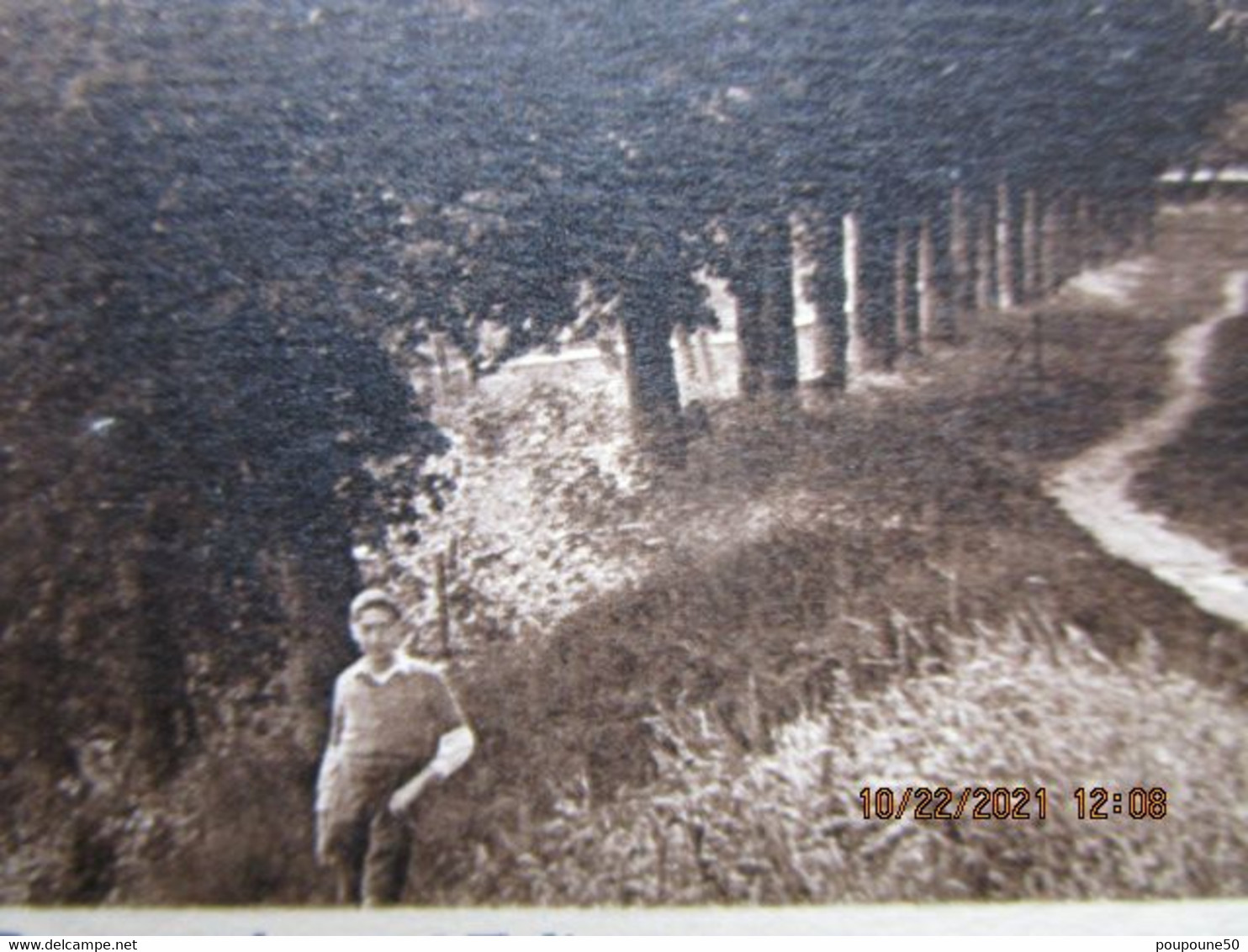 CPA 89 Yonne CERISIERS  -   La Promenade Et L'église - Pays D'Othe  1938 - Cerisiers