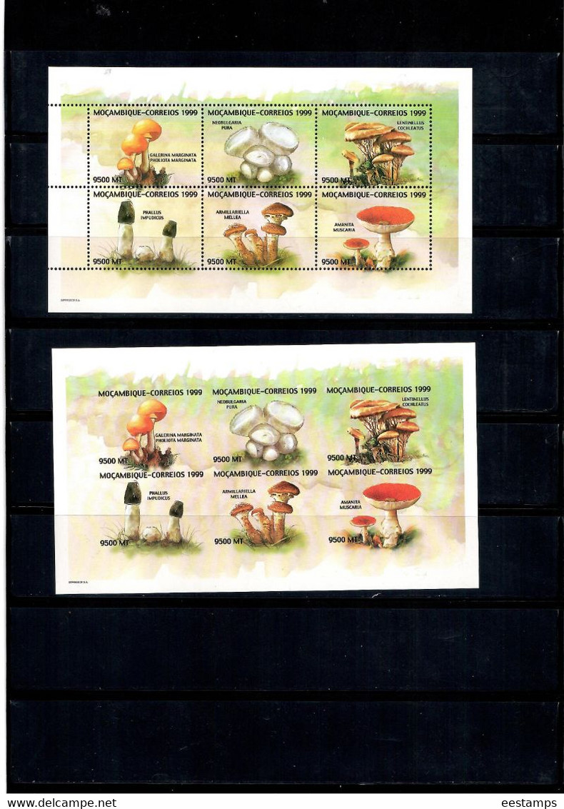 Mozambique 1999 . Mushrooms . M/S Of 6 + M/S Of 6 Imperf. - Mozambique