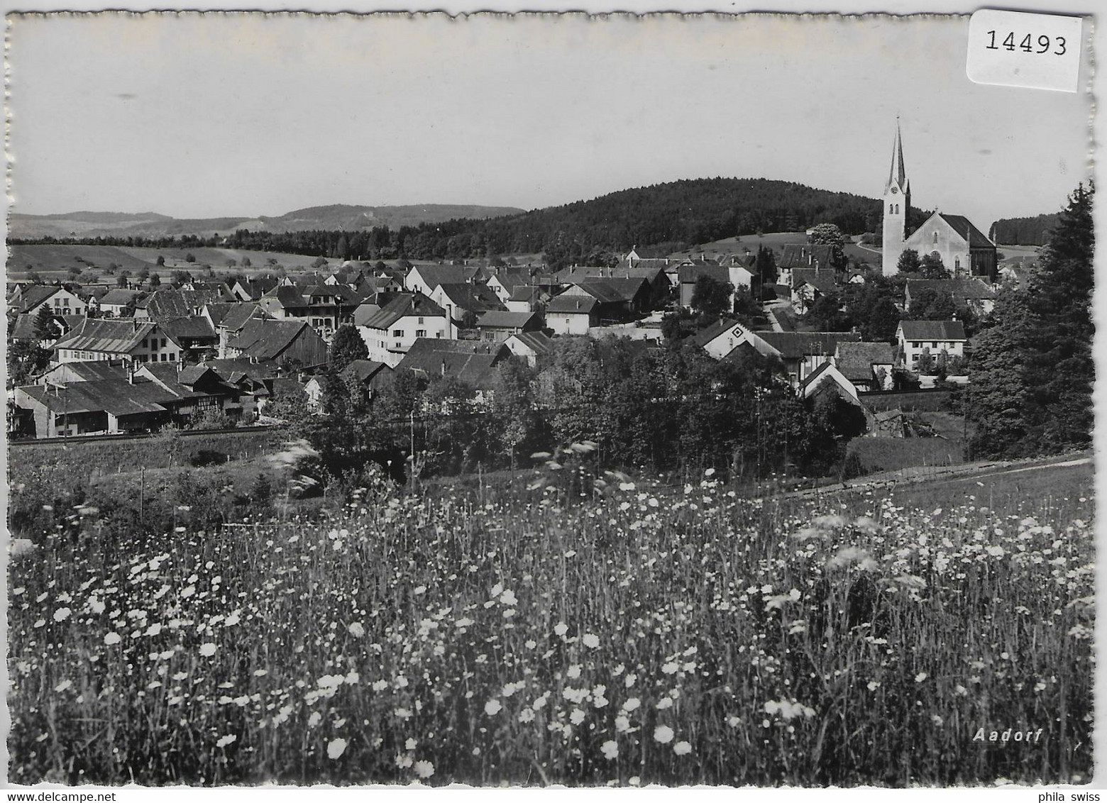 Aadorf TG - Generalansicht Im Frühling - Aadorf