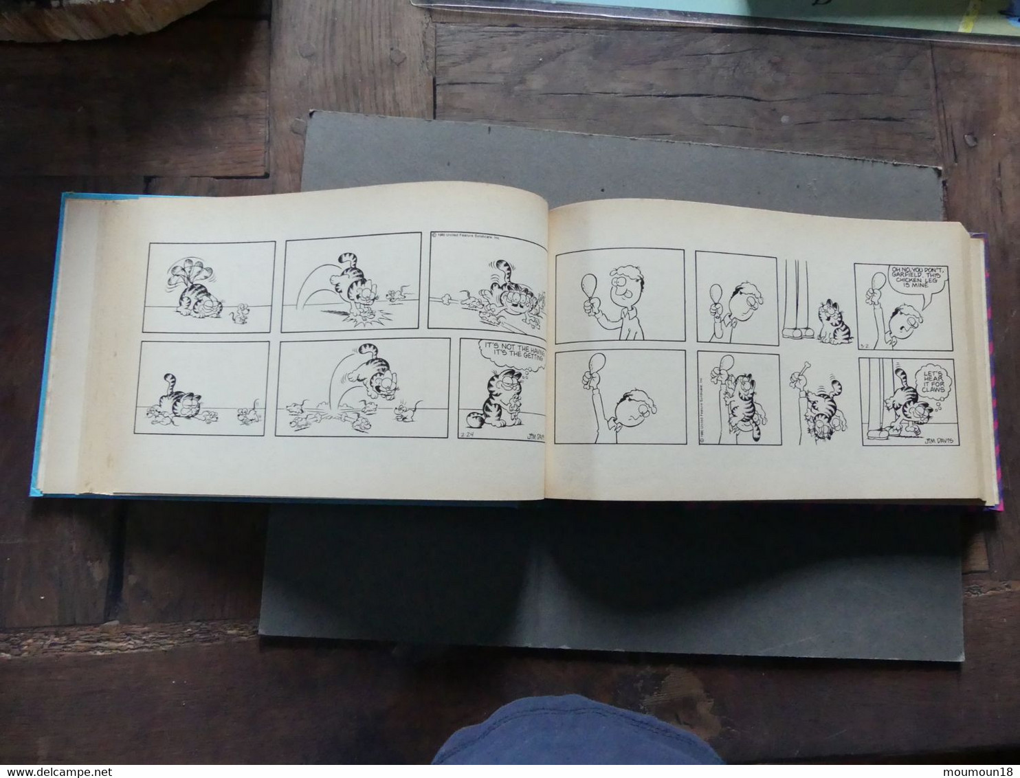 The irresistible Garfield Jim Davis 1986 Comic strips
