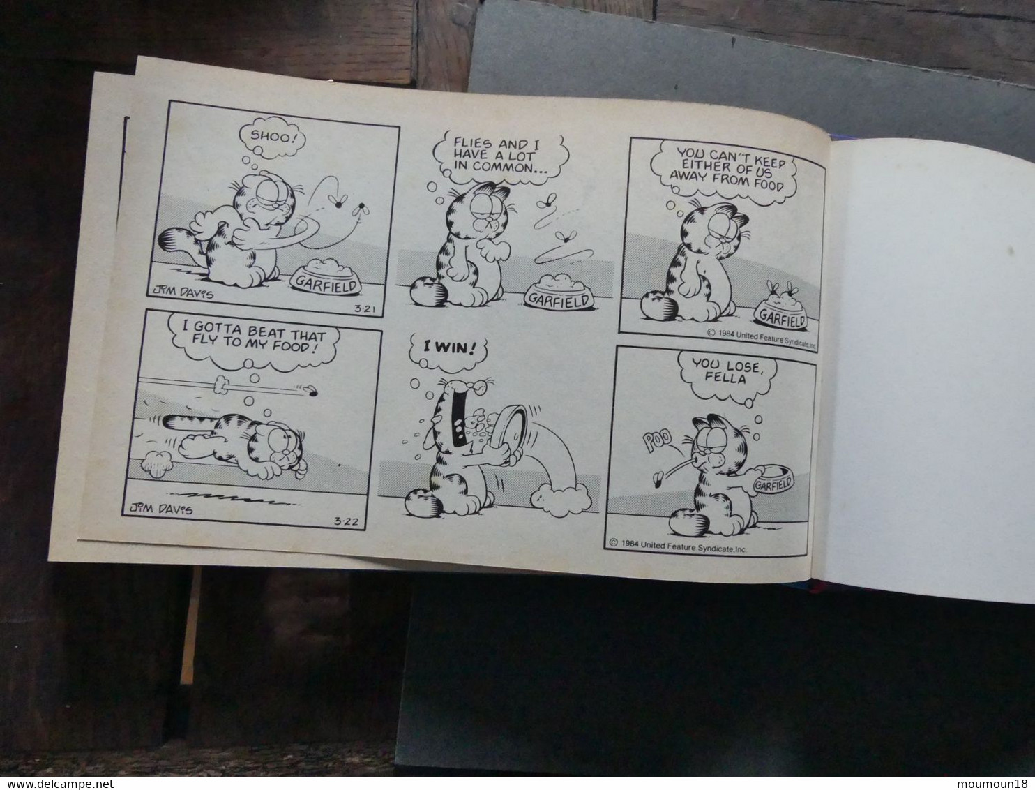 The irresistible Garfield Jim Davis 1986 Comic strips