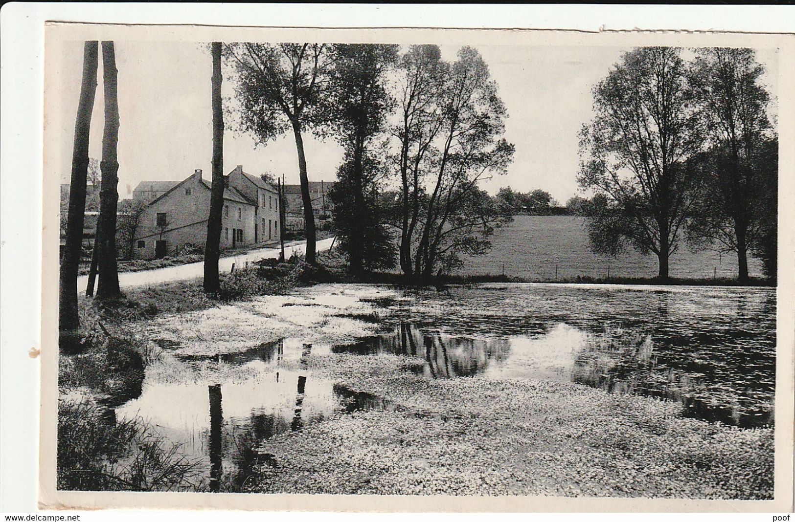 Onhaye : L'Etang " Au Vevl " - Onhaye