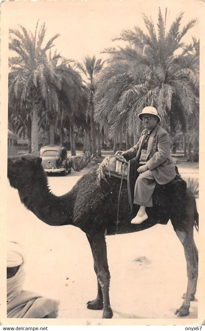 Carte Postale Photo TOUGGOURT-Algérie-Afrique Du Nord-Balade En Dromadaire - Sonstige & Ohne Zuordnung