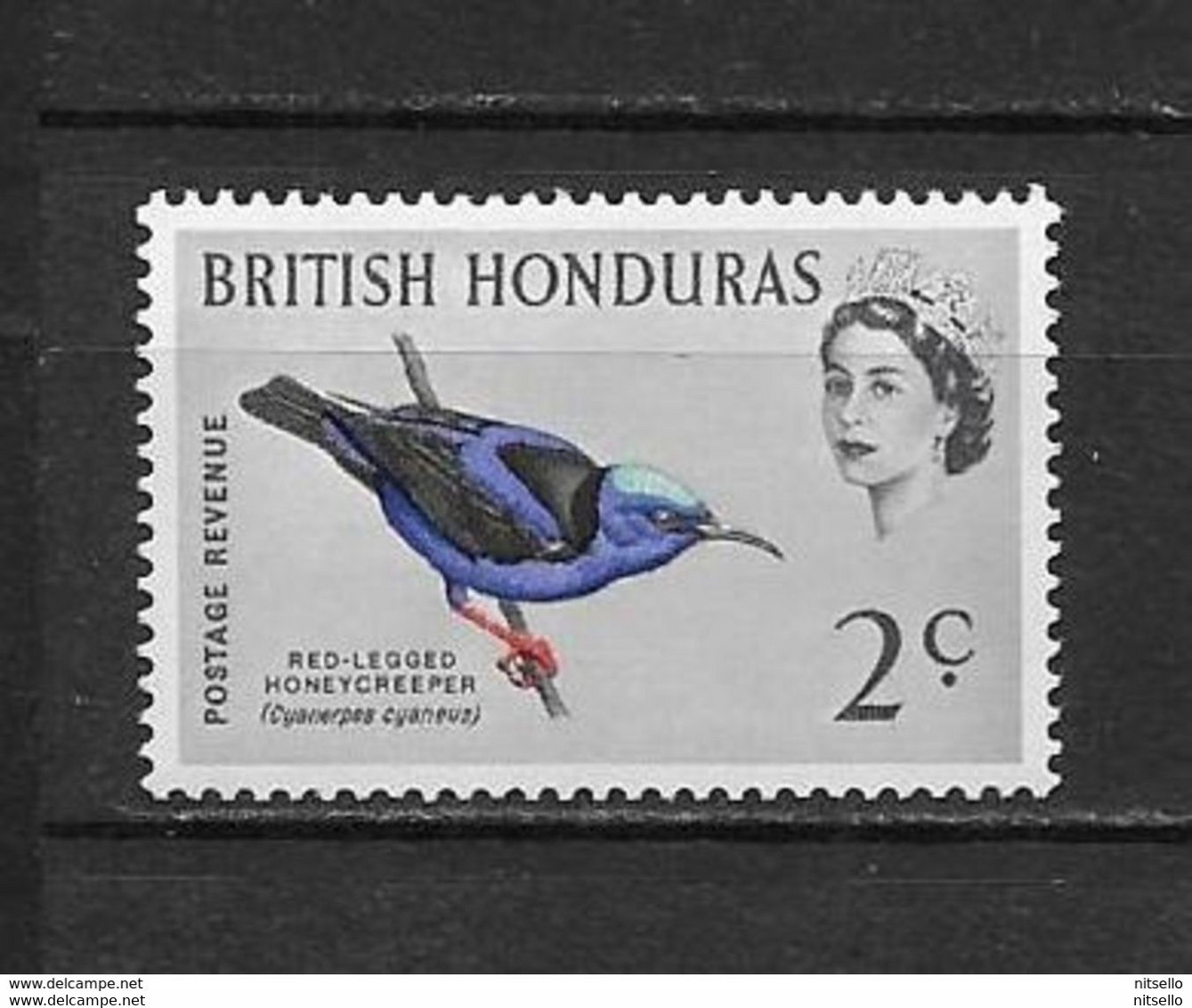 LOTE 2217 ///  HONDURAS BRITANICA **MNH    ¡¡¡ OFERTA - LIQUIDATION !!! JE LIQUIDE !!! - Britisch-Honduras (...-1970)