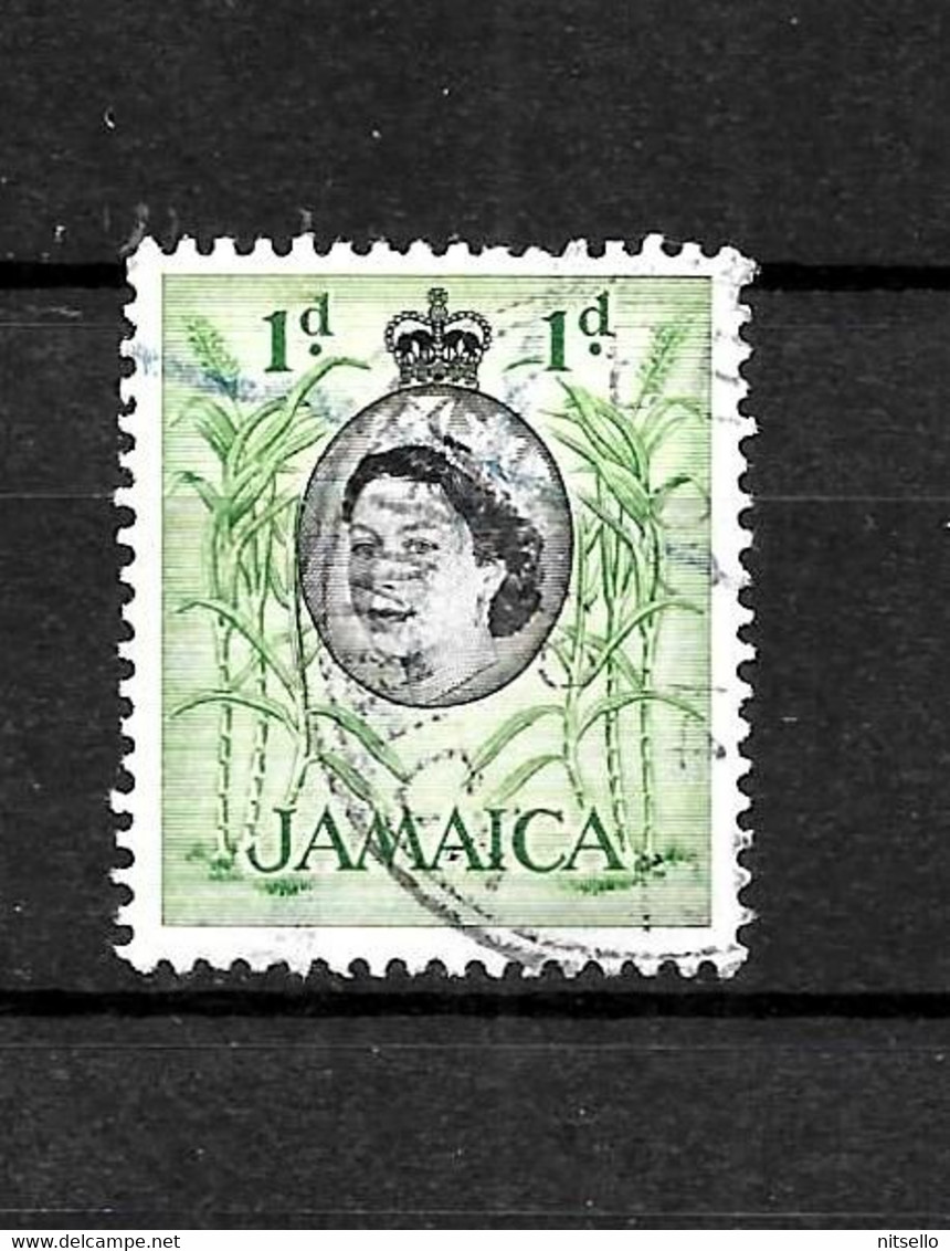 LOTE 2217 ///   JAMAICA BRITANICA - ¡¡¡ OFERTA - LIQUIDATION - JE LIQUIDE !!! - Jamaïque (...-1961)