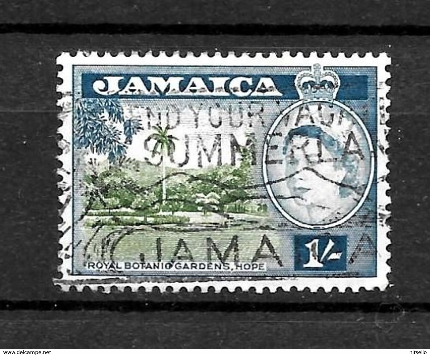 LOTE 2217 ///  JAMAICA BRITANICA  ¡¡¡ OFERTA - LIQUIDATION - JE LIQUIDE !!! - Jamaïque (...-1961)