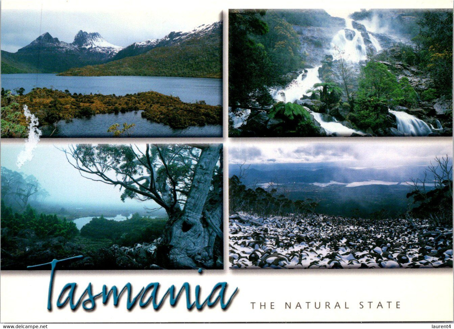 (6 A 11) Australia - TAS - 17 X 12 Cm -  Tasmania - 4 Views - Wilderness