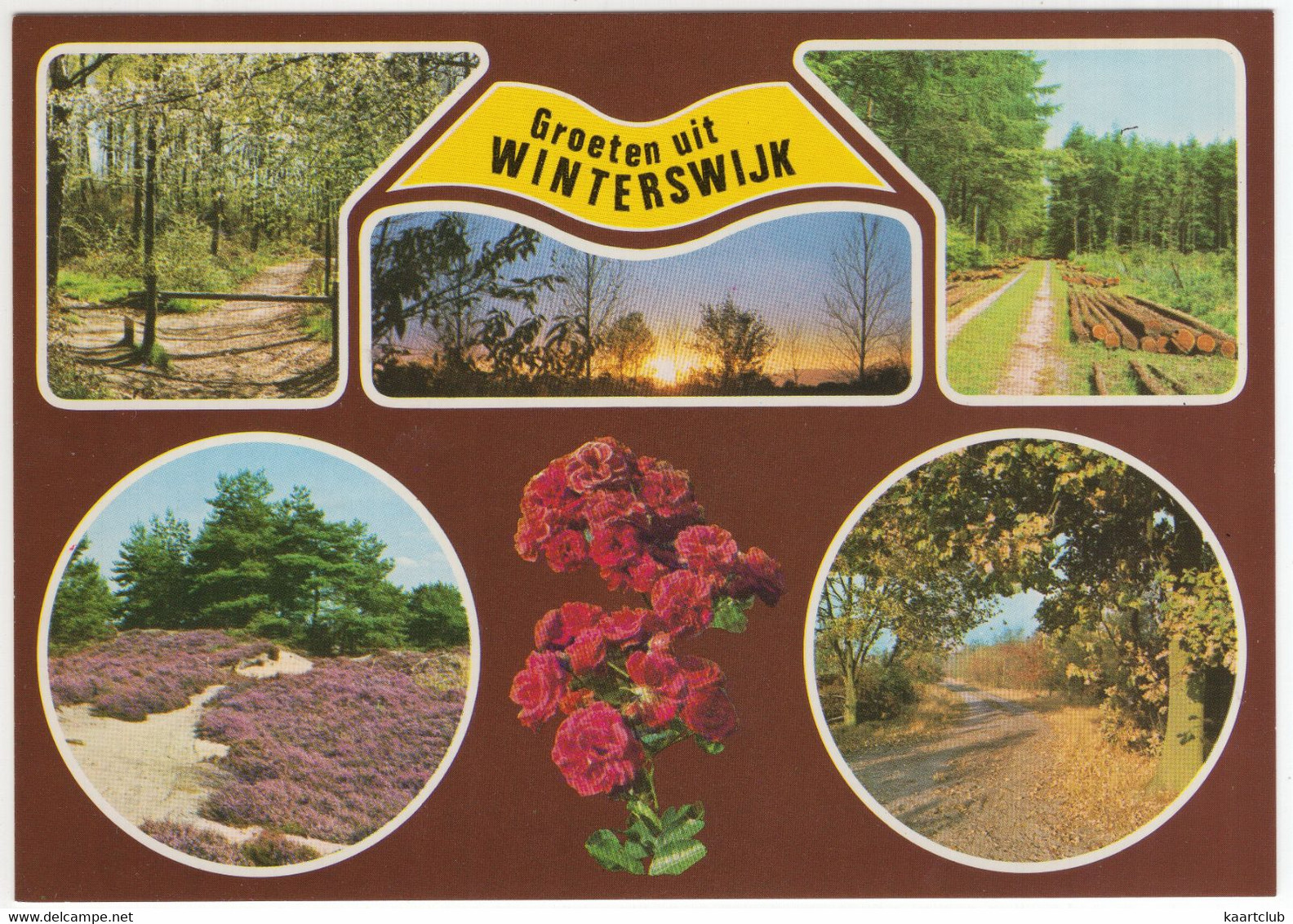 Groeten Uit Winterswijk  - Natuur - (Nederland / Holland) - Nr. 742 - Winterswijk