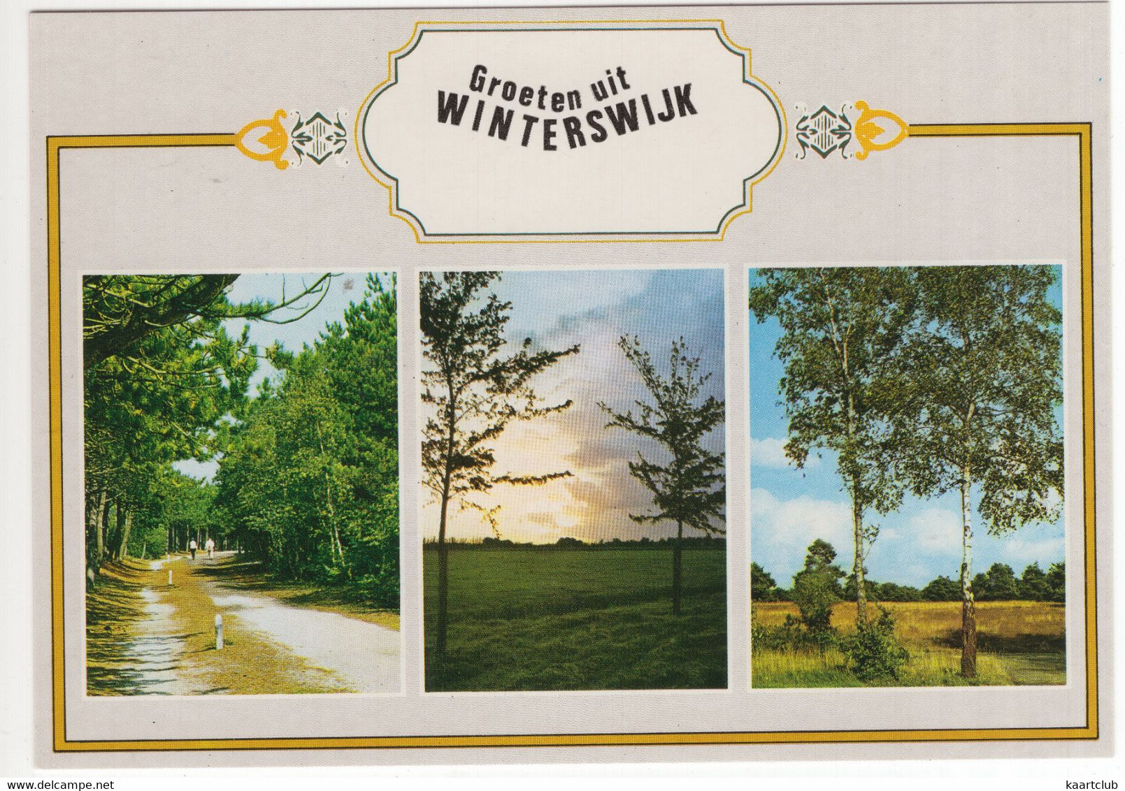 Groeten Uit Winterswijk  - Bomen, Natuur - (Nederland / Holland) - Nr. 794 - Winterswijk