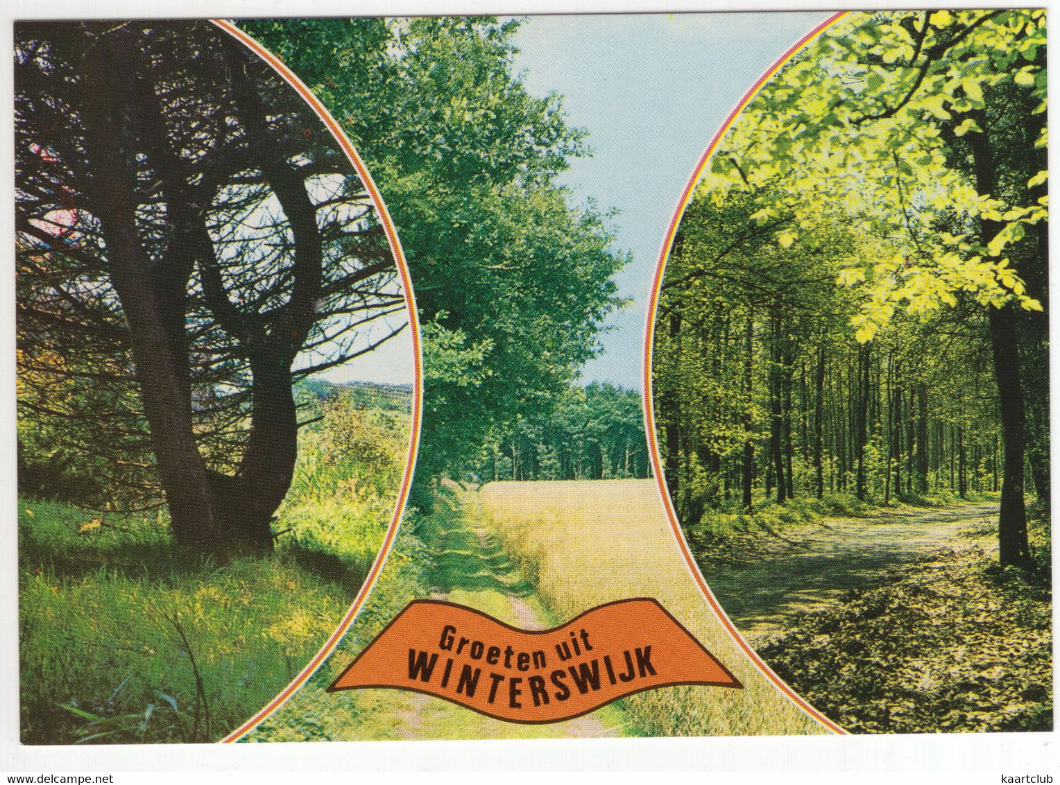 Groeten Uit Winterswijk - Bomen, Bos, Akker - (Nederland / Holland) - Nr. 786 - Winterswijk